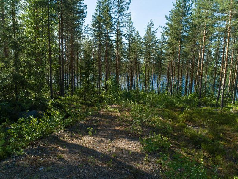 Uittosalmentie Tontti 8, Piilola, Äänekoski