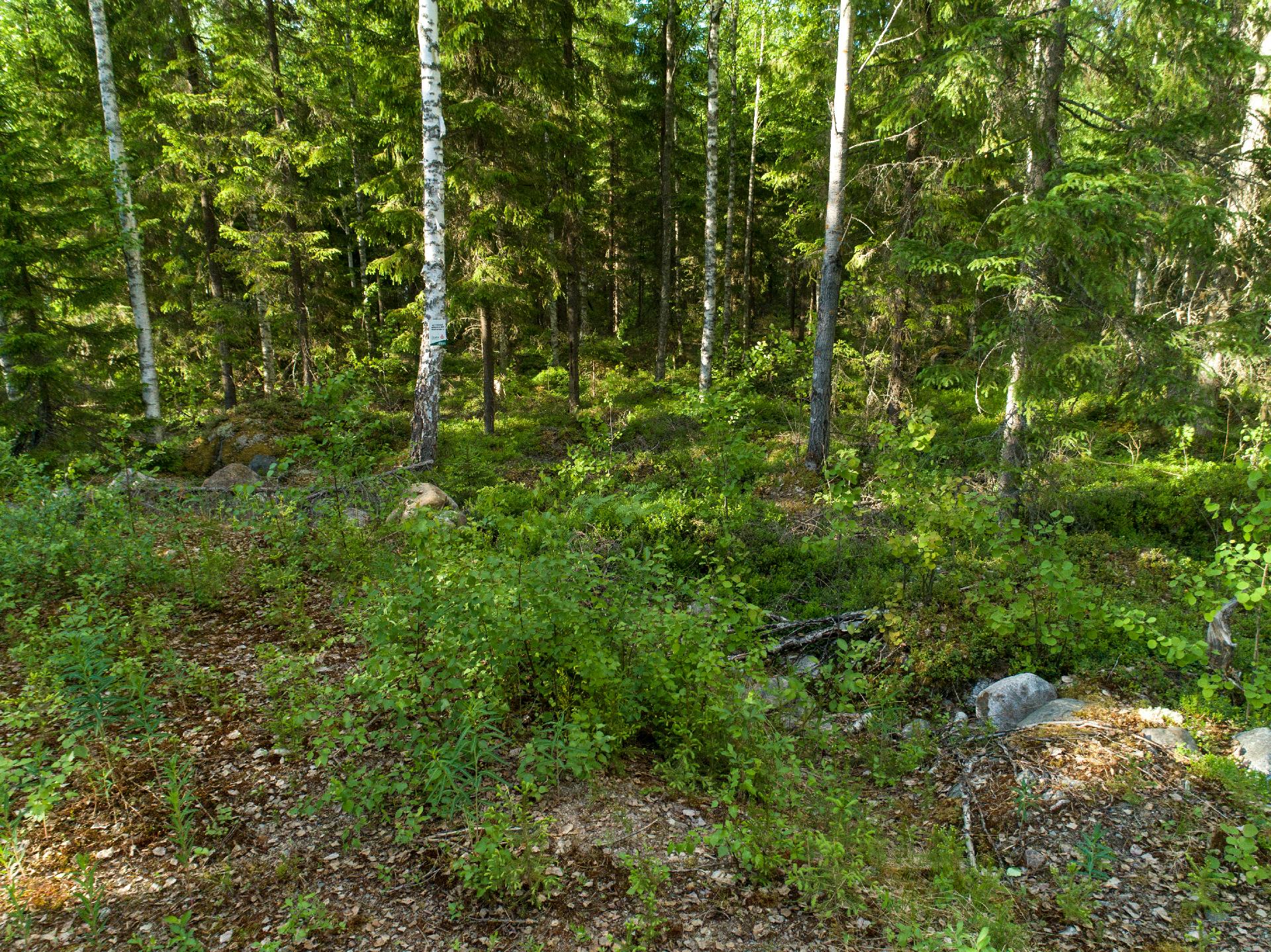 Uittosalmentie Tontti 8, Piilola, Äänekoski