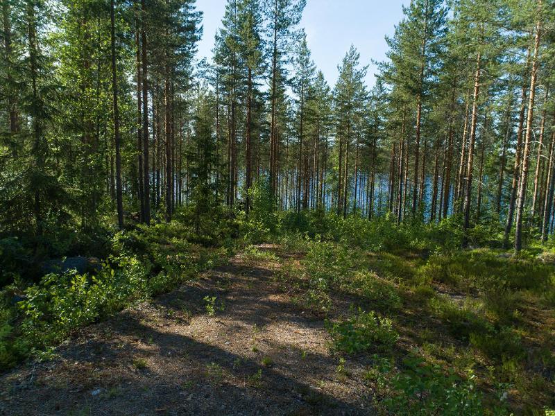 Uittosalmentie Tontti 8, Piilola, Äänekoski