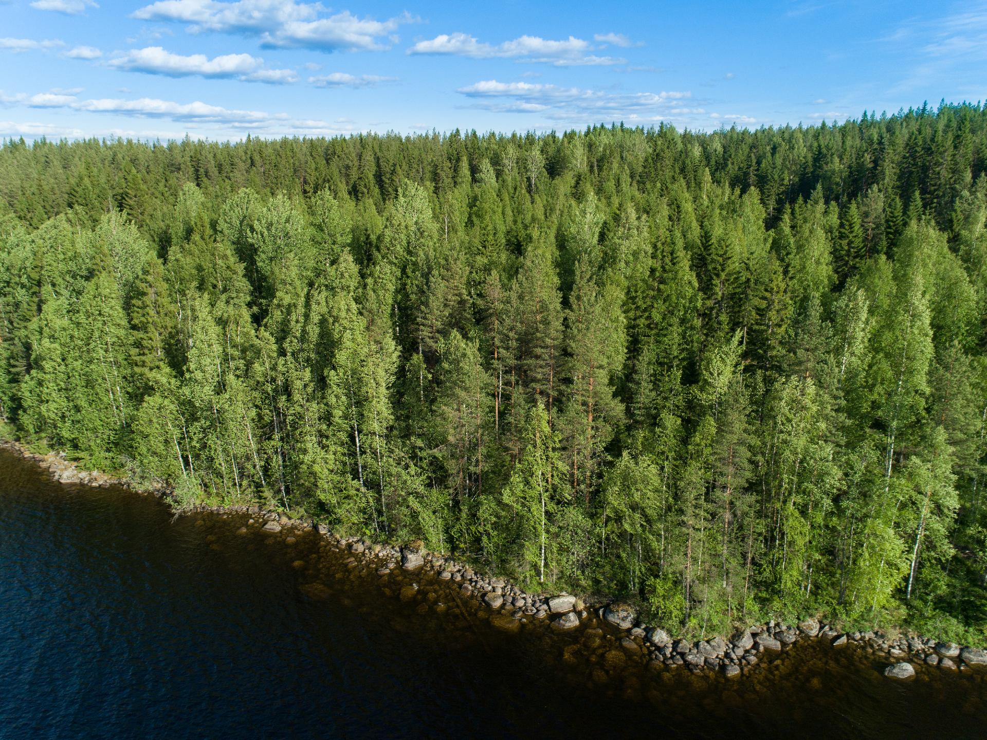 Uittosalmentie Tontti 8, Piilola, Äänekoski