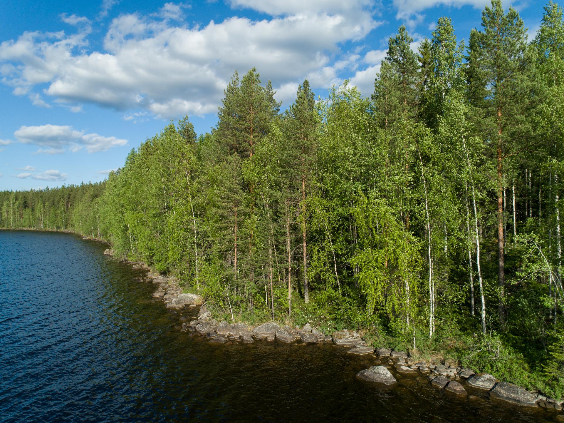 Uittosalmentie Tontti 9, Piilola, Äänekoski