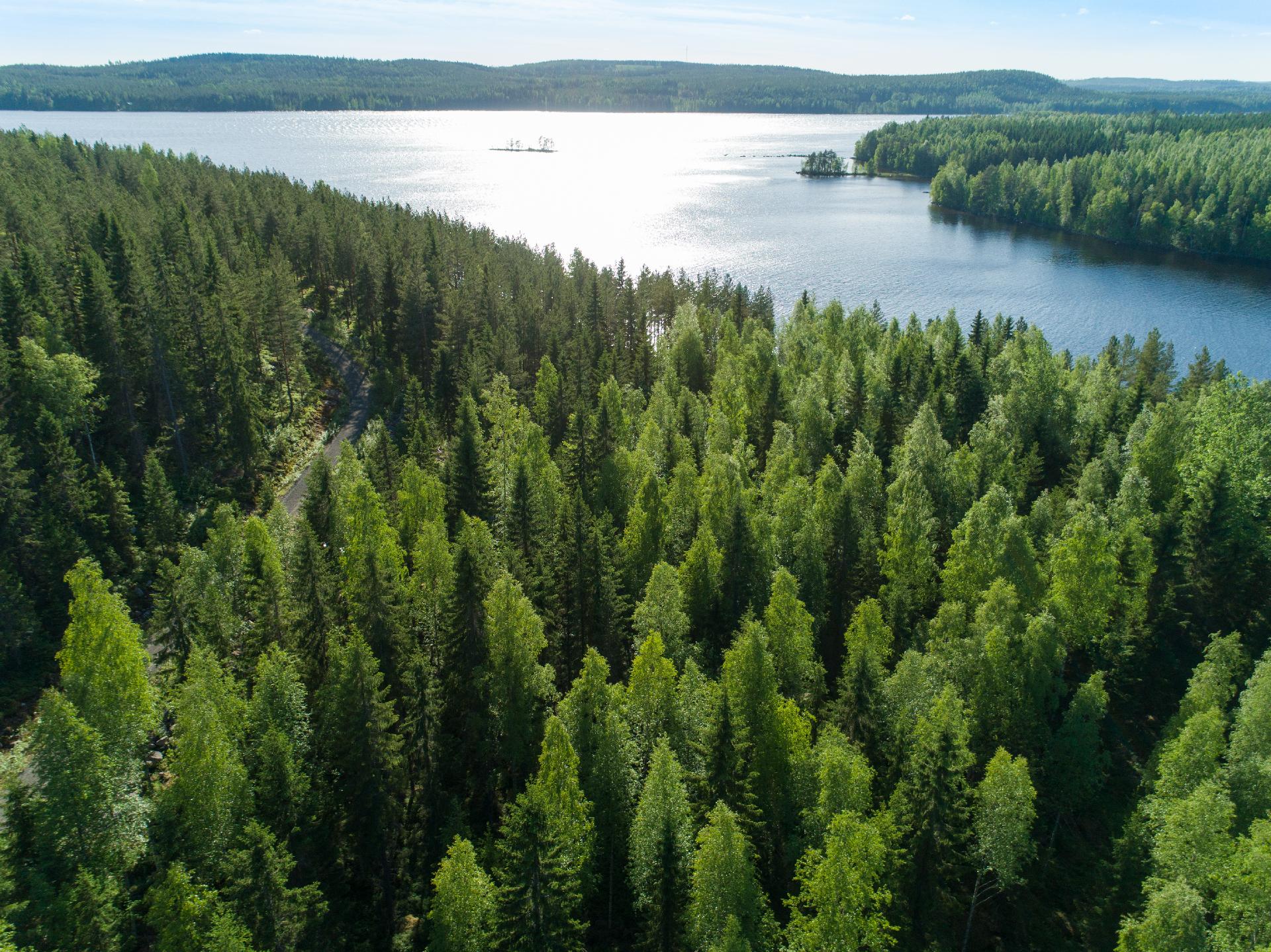 Uittosalmentie Tontti 10, Piilola, Äänekoski