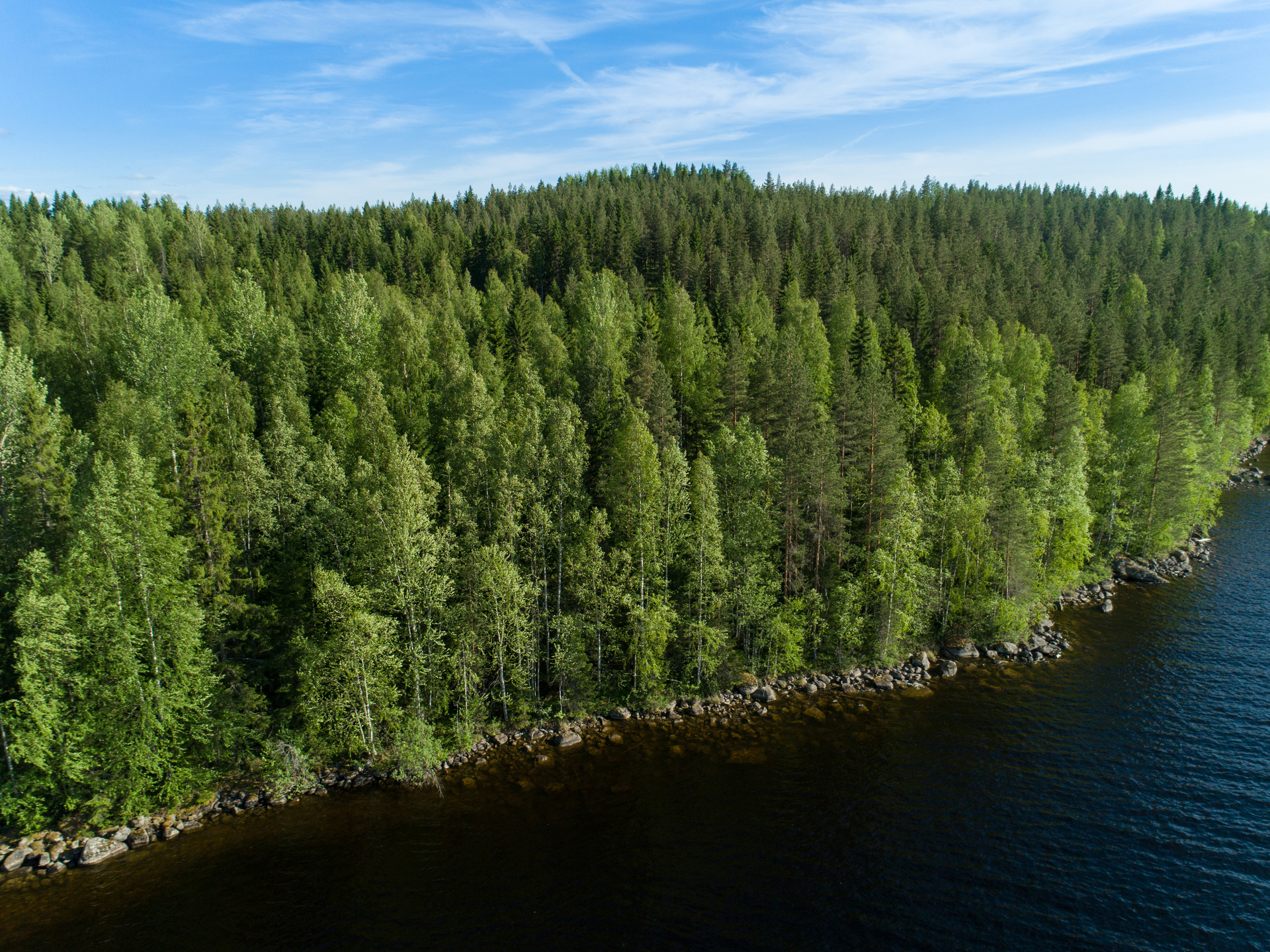 Uittosalmentie Tontti 10, Piilola, Äänekoski