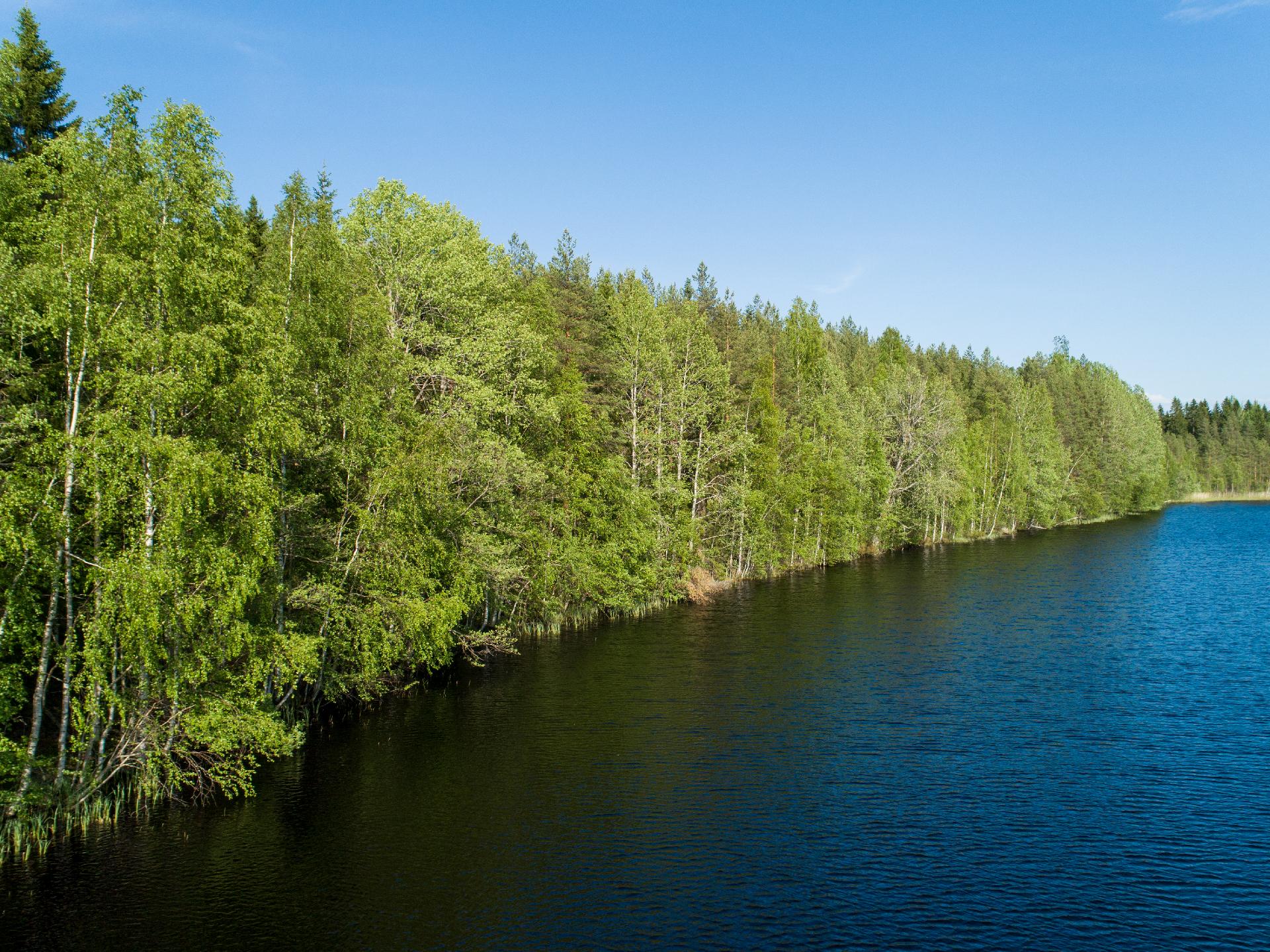 Rauskajärvi tontti 254, Viitasaari