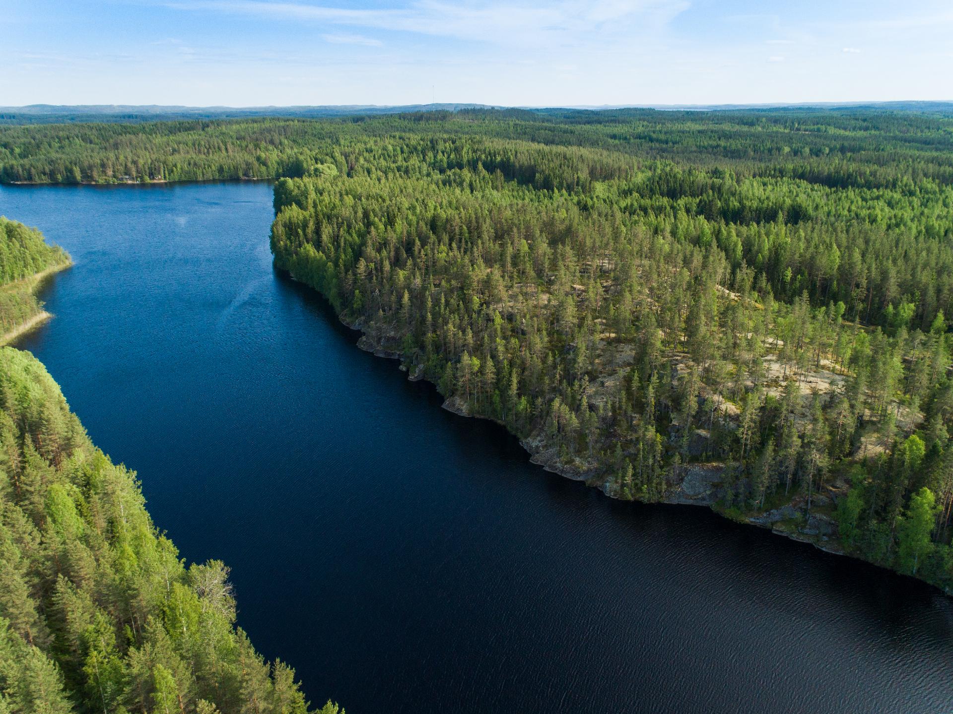 Rauskajärvi tontti 254, Viitasaari