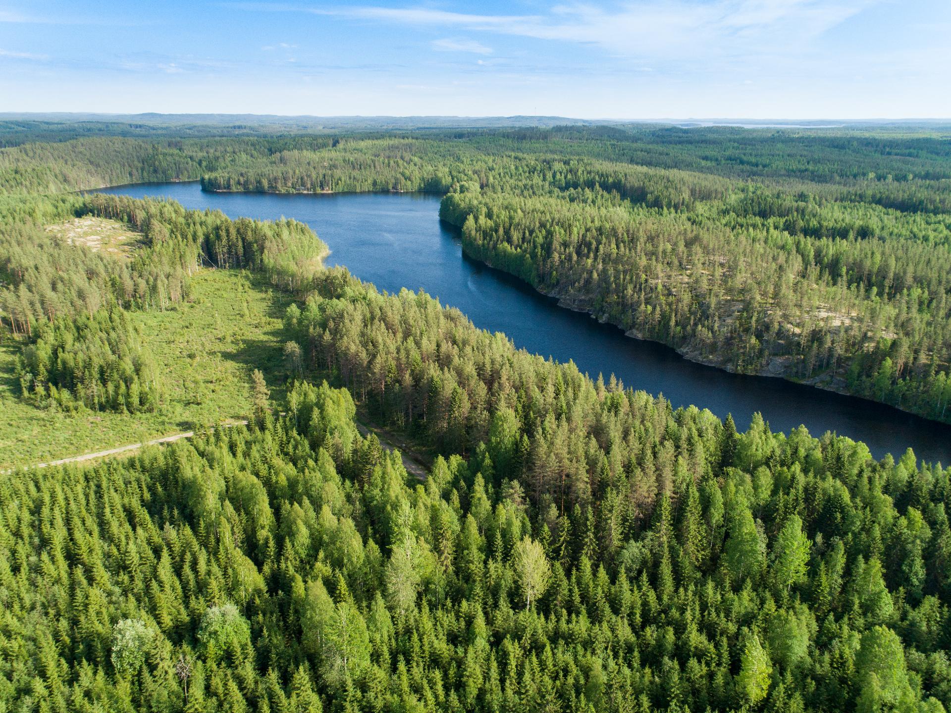 Rauskajärvi tontti 254, Viitasaari