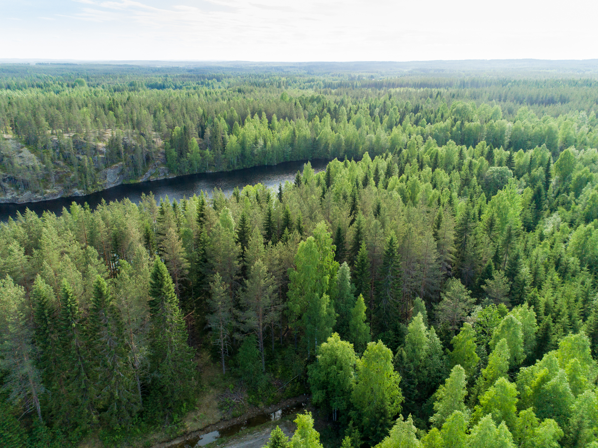 Rauskajärvi tontti 255, Viitasaari