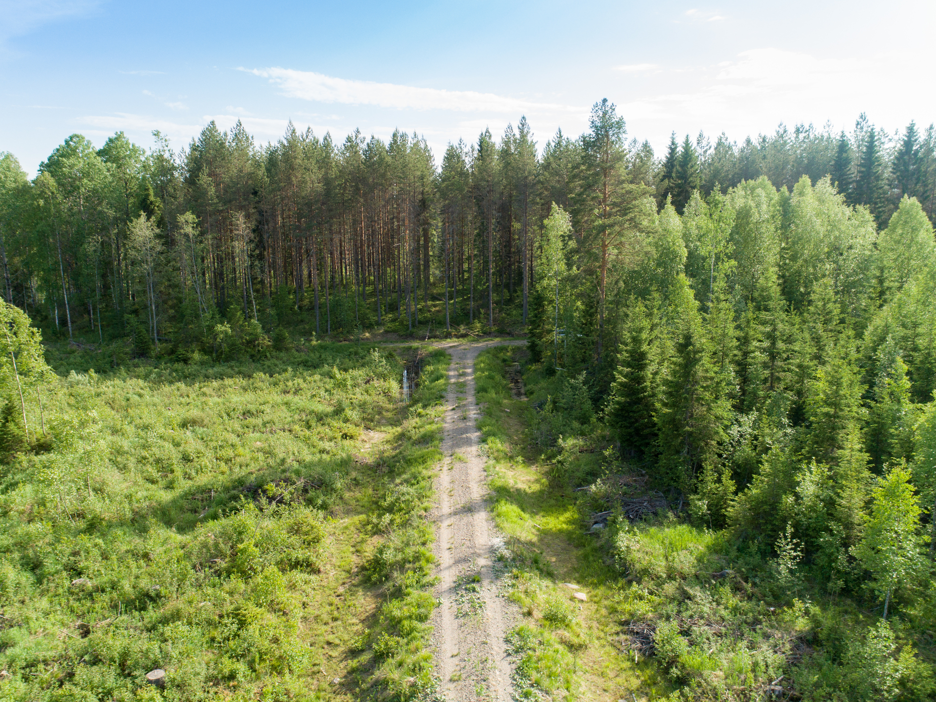 Rauskajärvi tontti 256, Viitasaari