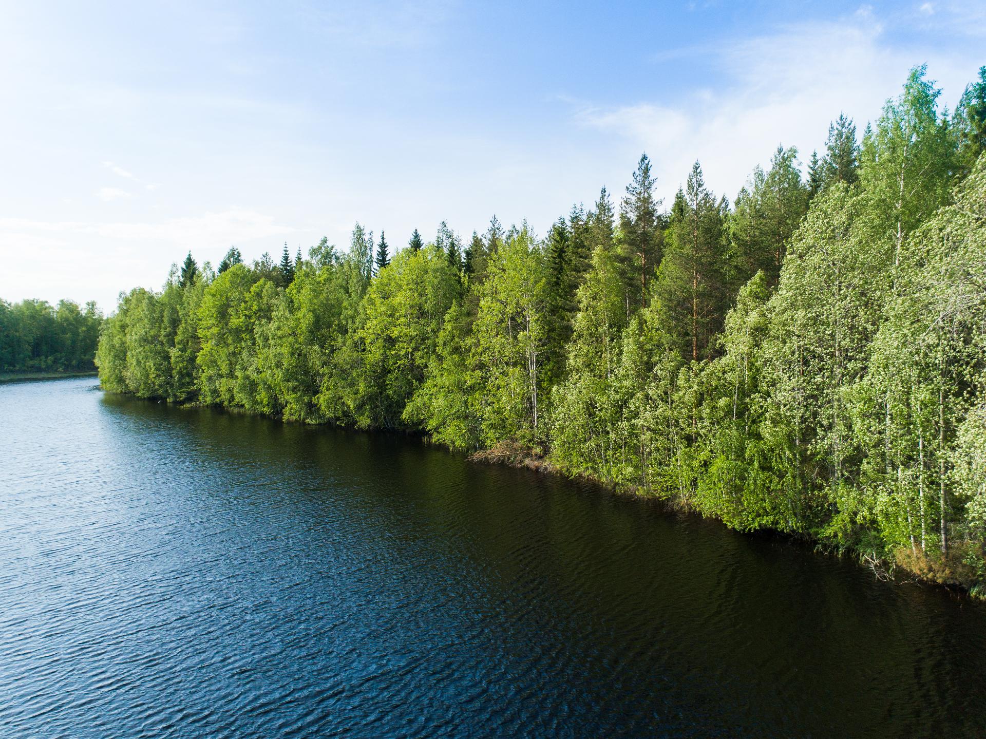 Rauskajärvi tontti 256, Viitasaari