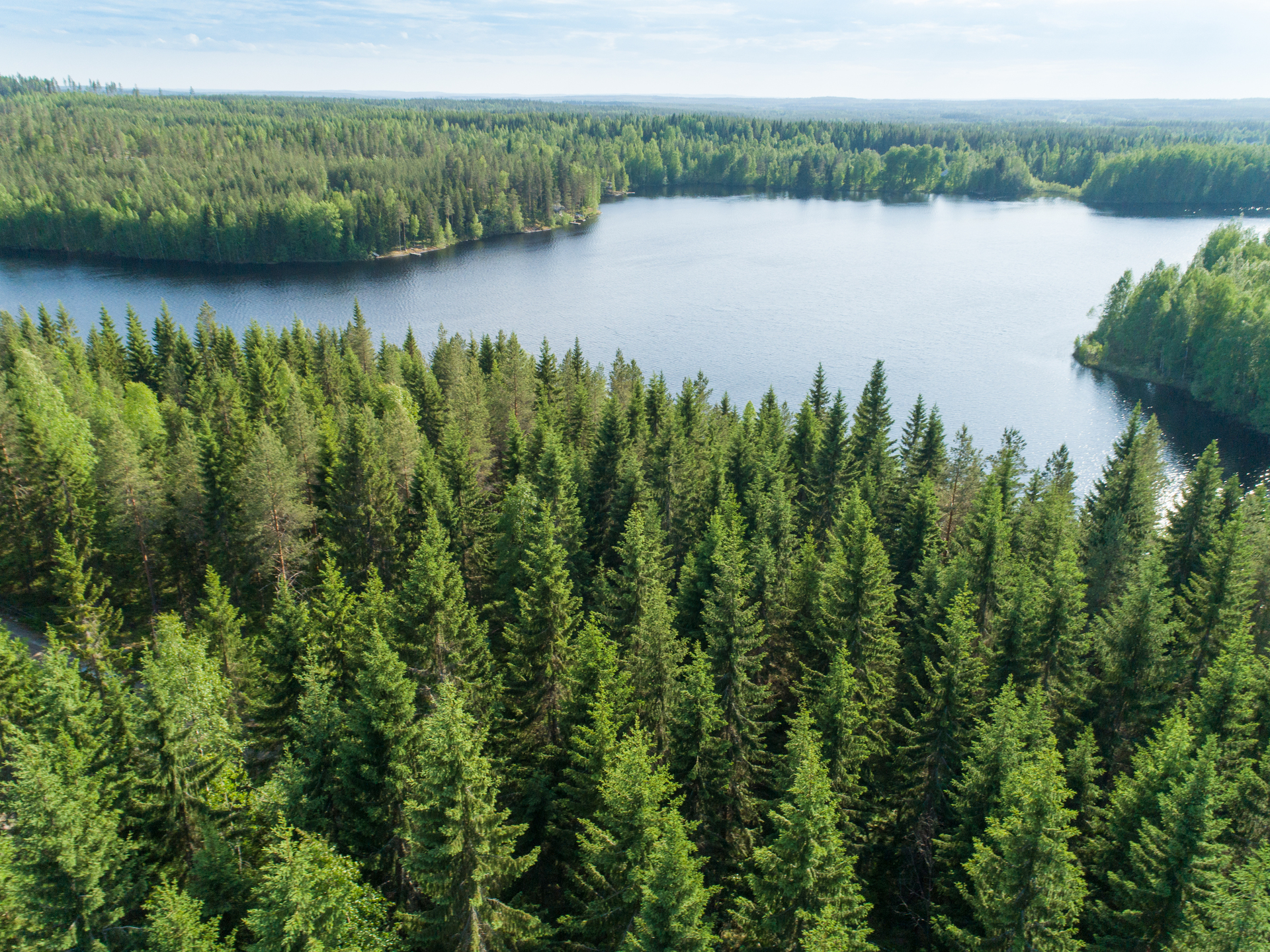 Rauskajärvi tontti 257, Viitasaari
