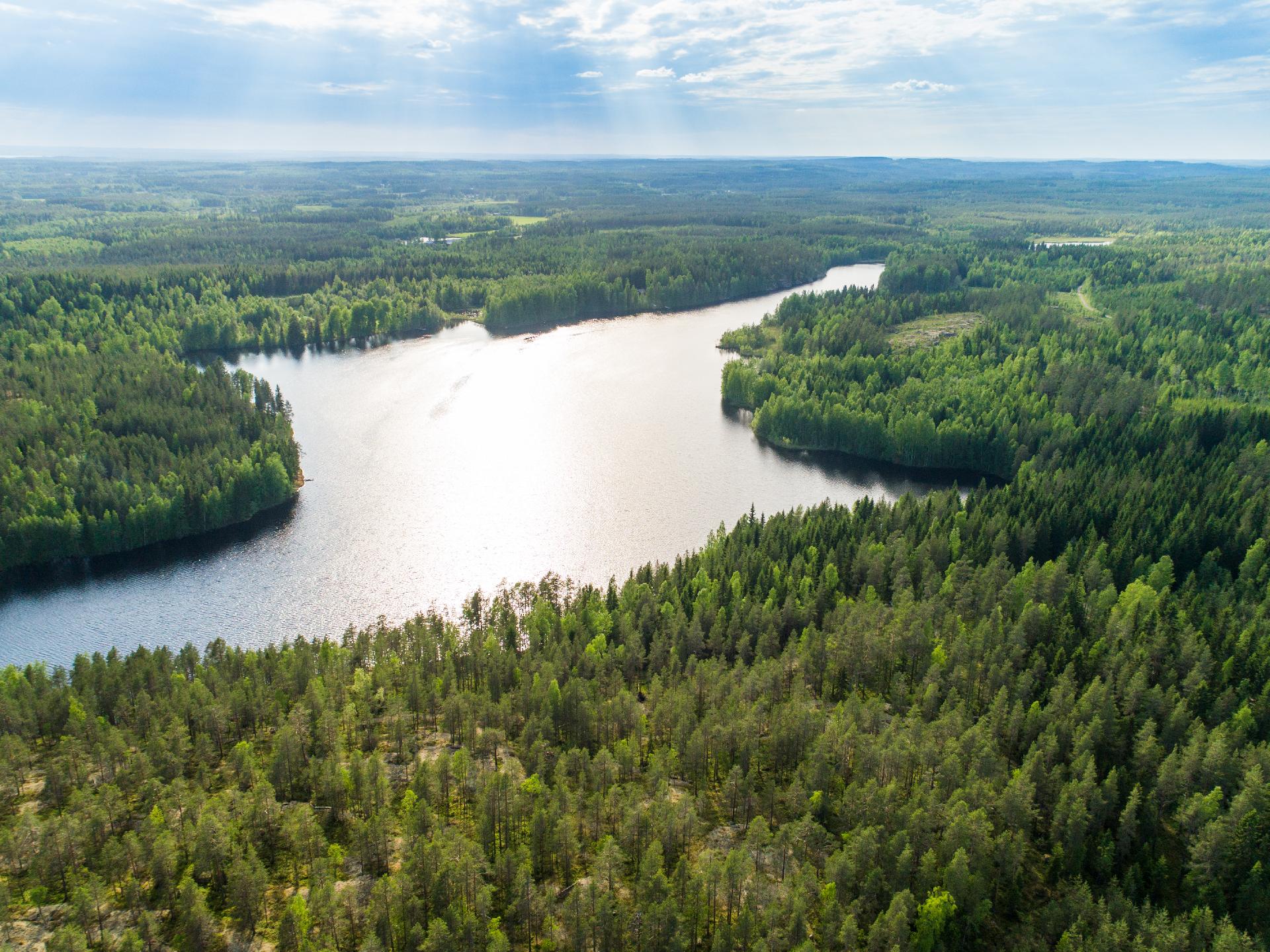 Rauskajärvi tontti 257, Viitasaari