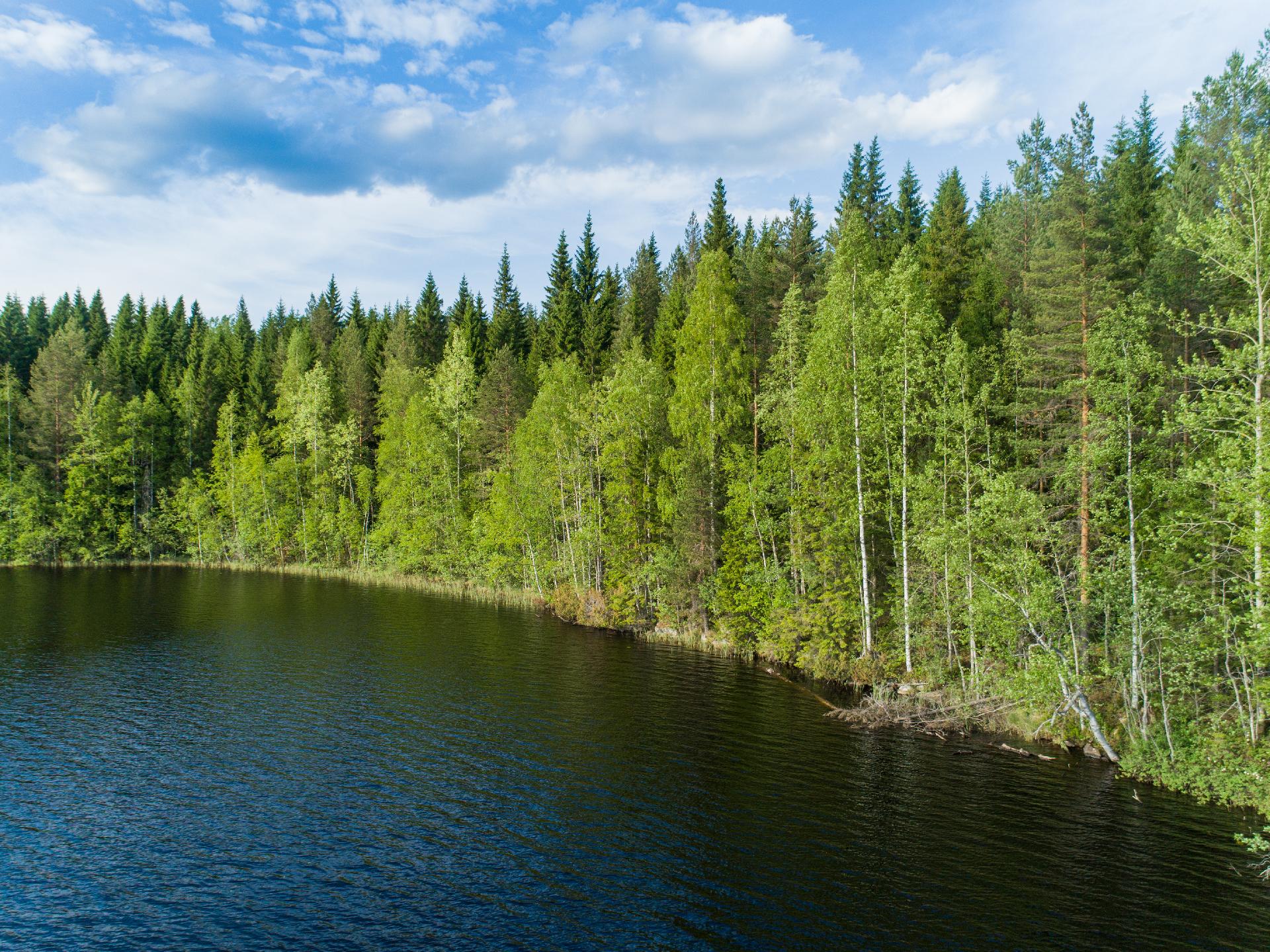 Rauskajärvi tontti 257, Viitasaari