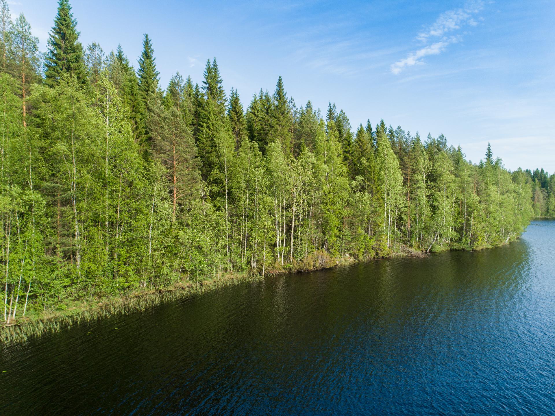 Rauskajärvi tontti 257, Viitasaari