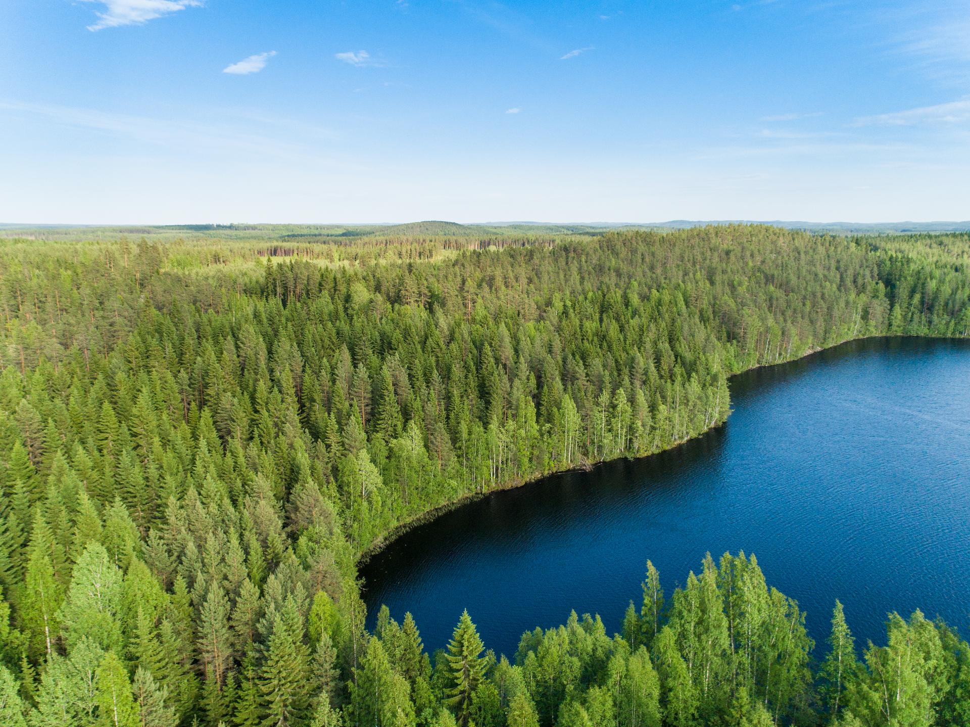 Rauskajärvi tontti 257, Viitasaari