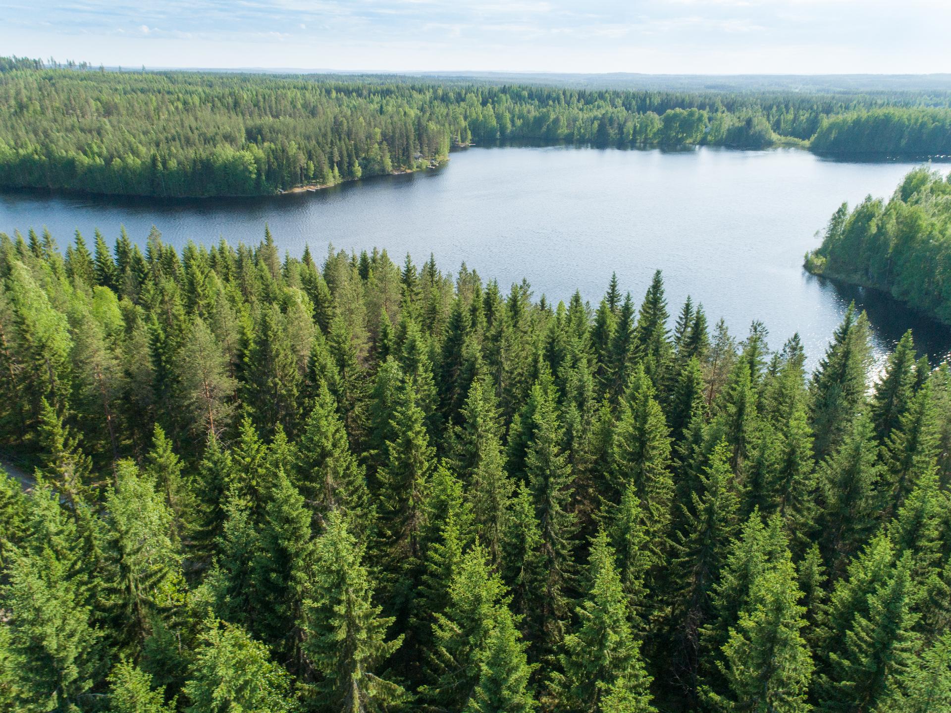 Rauskajärvi tontti 257, Viitasaari