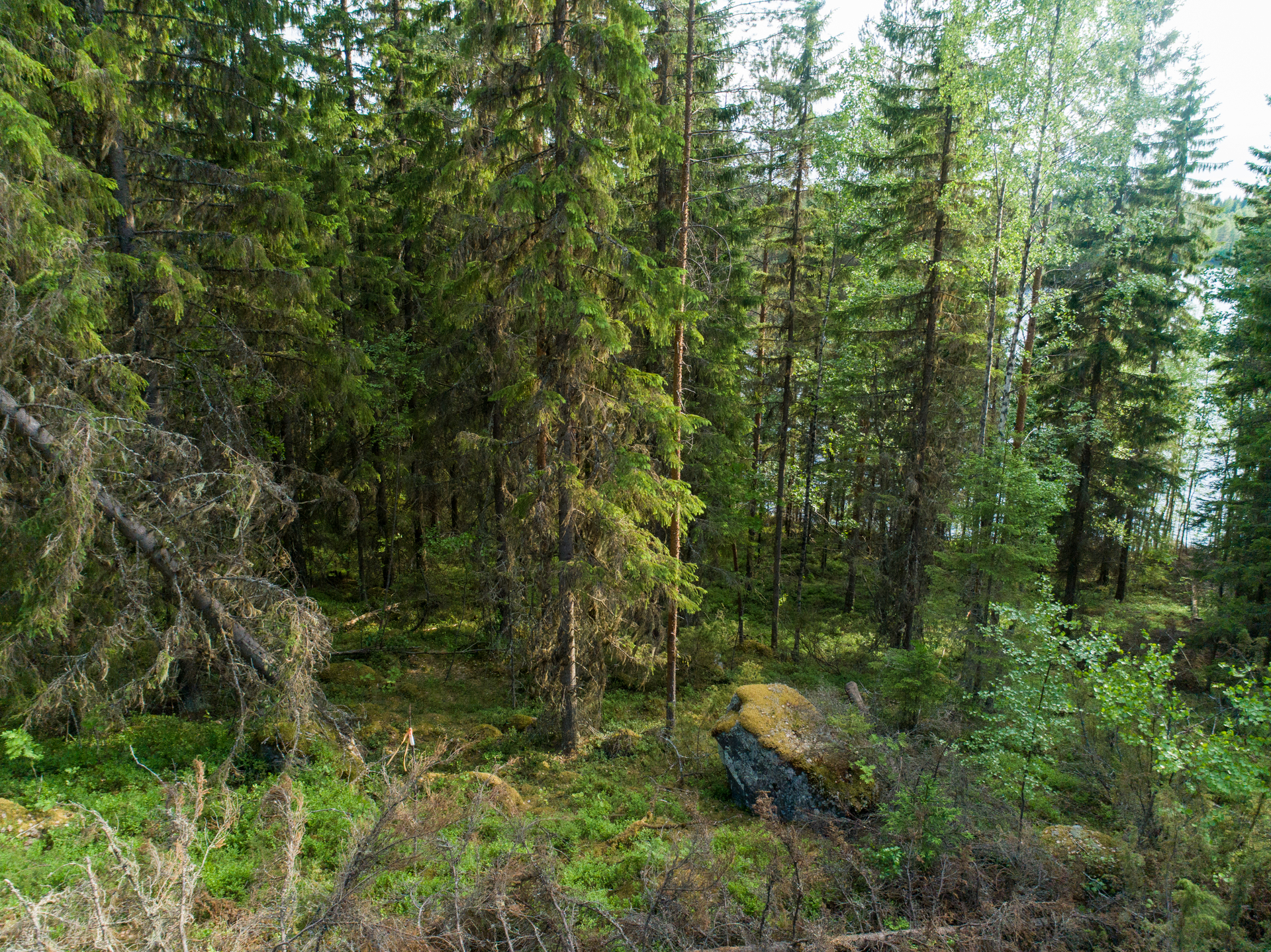 Rauskajärvi tontti 258, Viitasaari