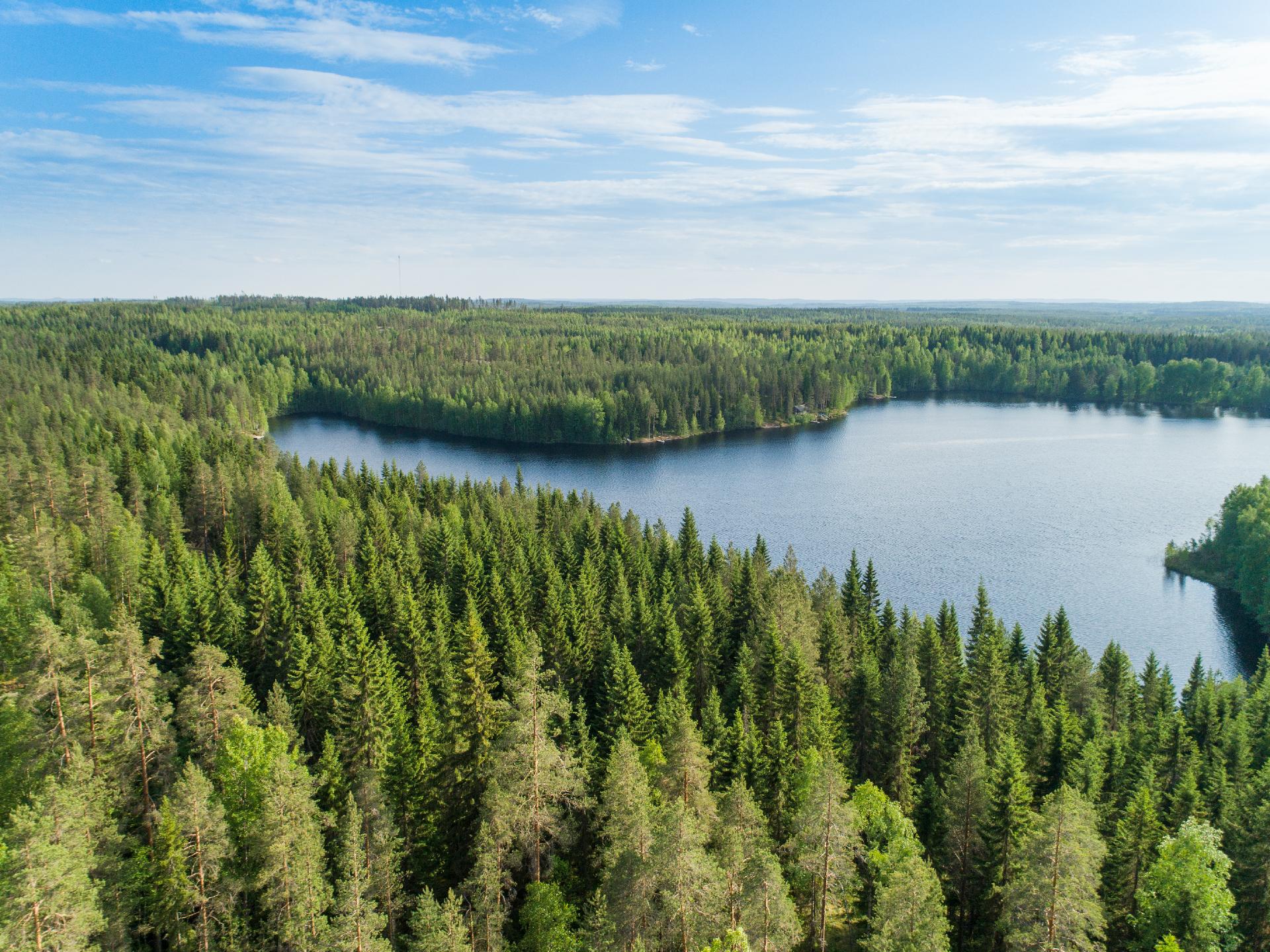Rauskajärvi tontti 258, Viitasaari