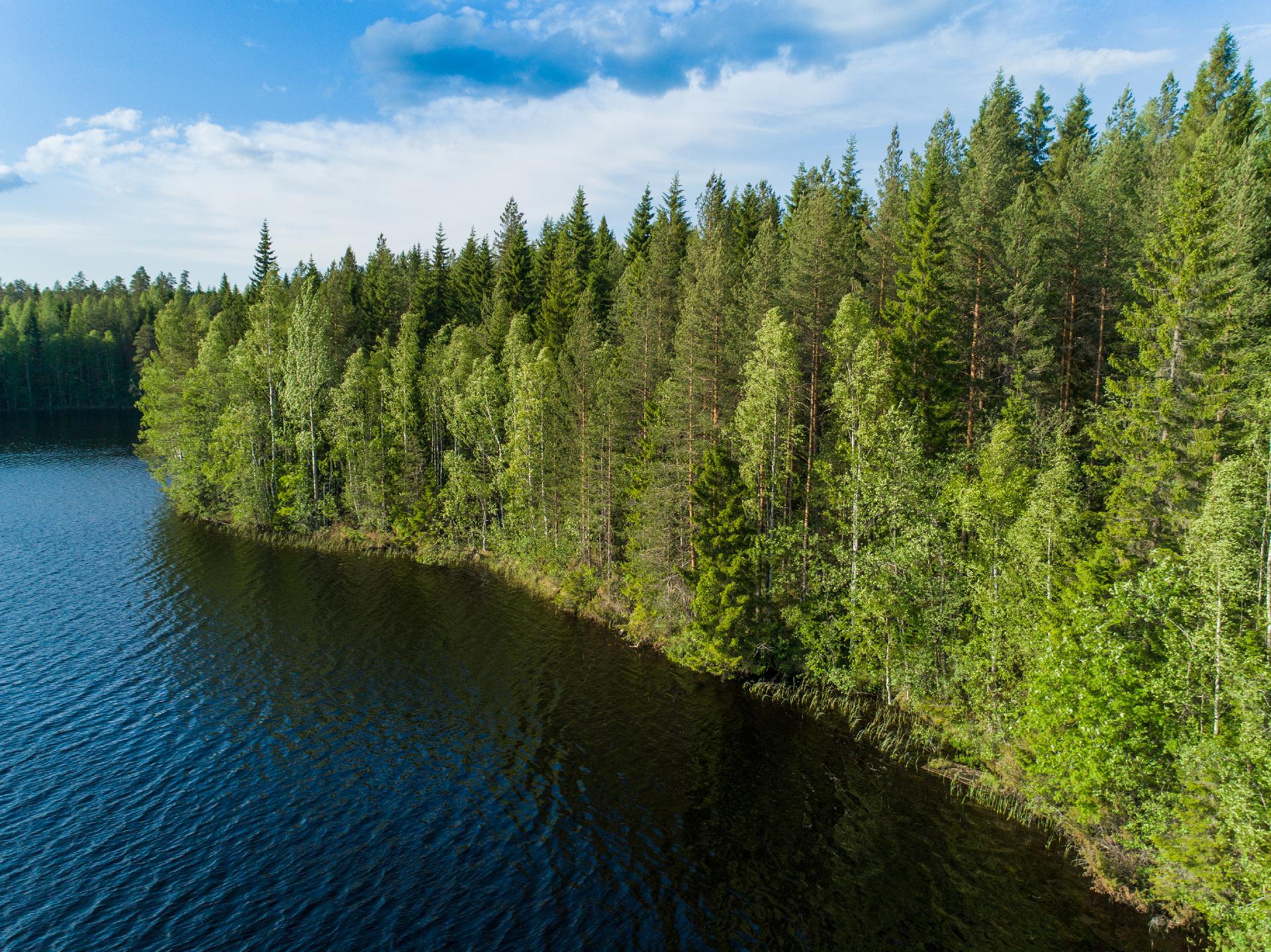 Rauskajärvi tontti 258, Viitasaari