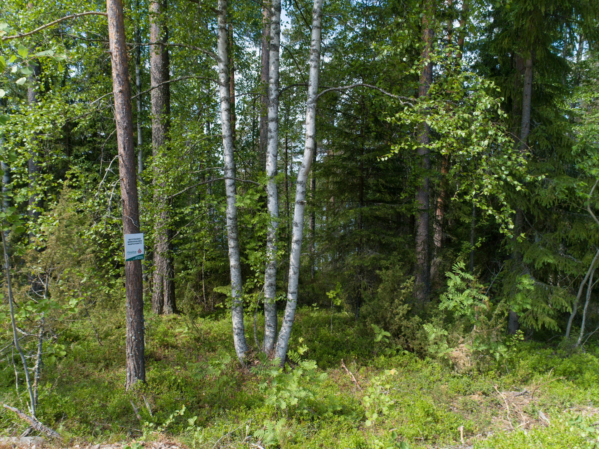 Kiminkijärvi tontti 3, Suovanlahti, Viitasaari