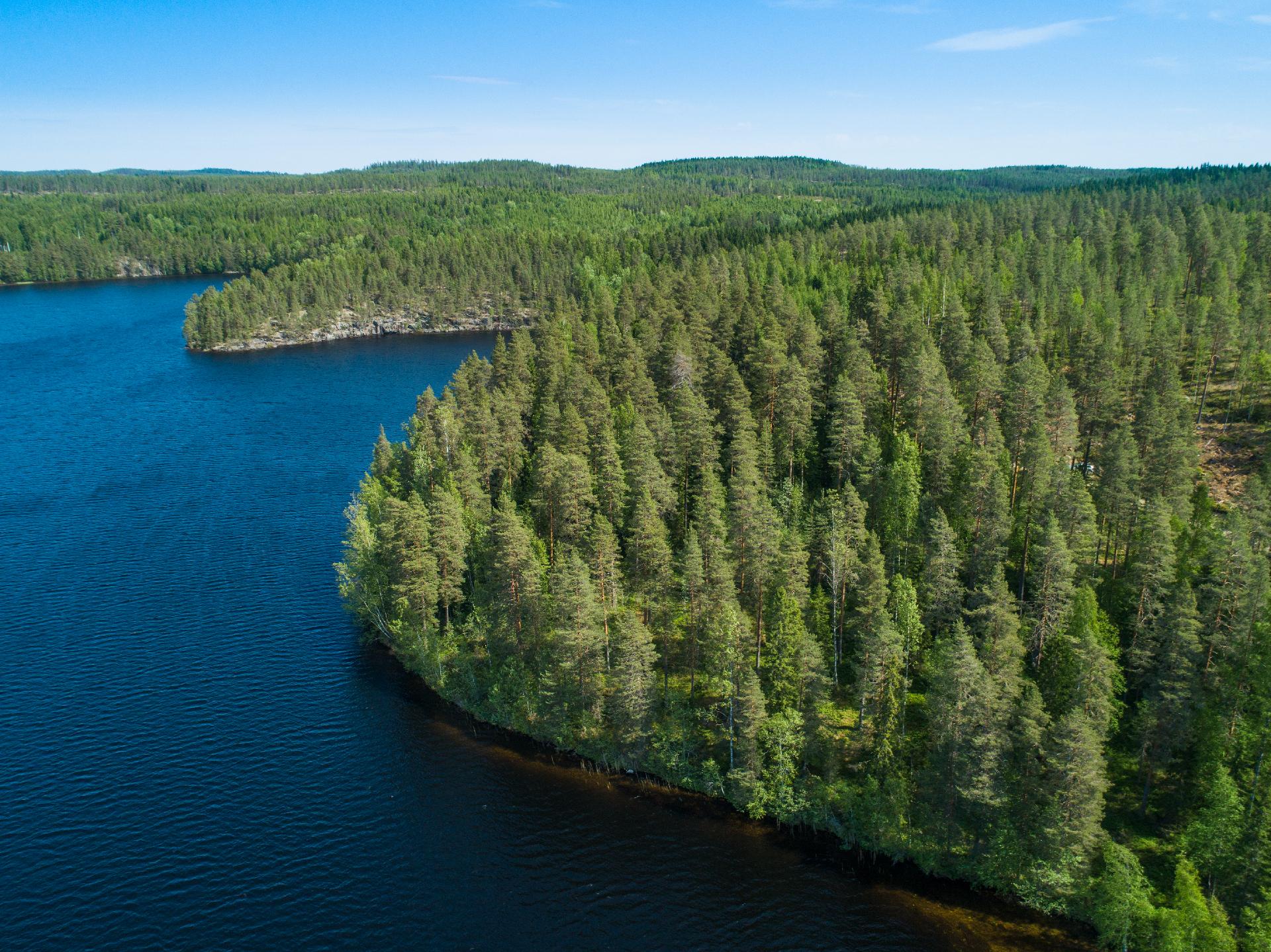 Kiminkijärvi tontti 3, Suovanlahti, Viitasaari