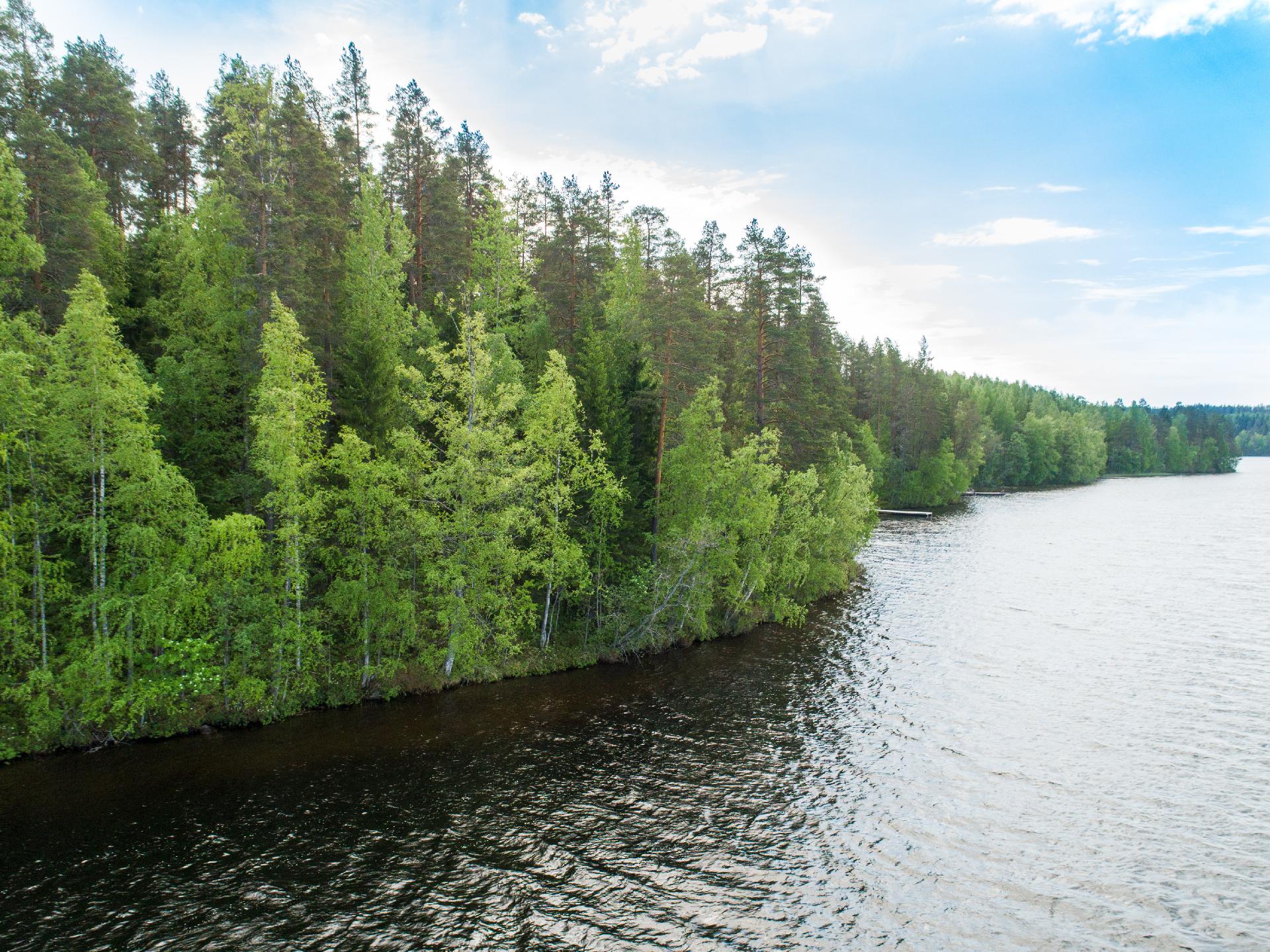 Kiminkijärvi tontti 3, Suovanlahti, Viitasaari