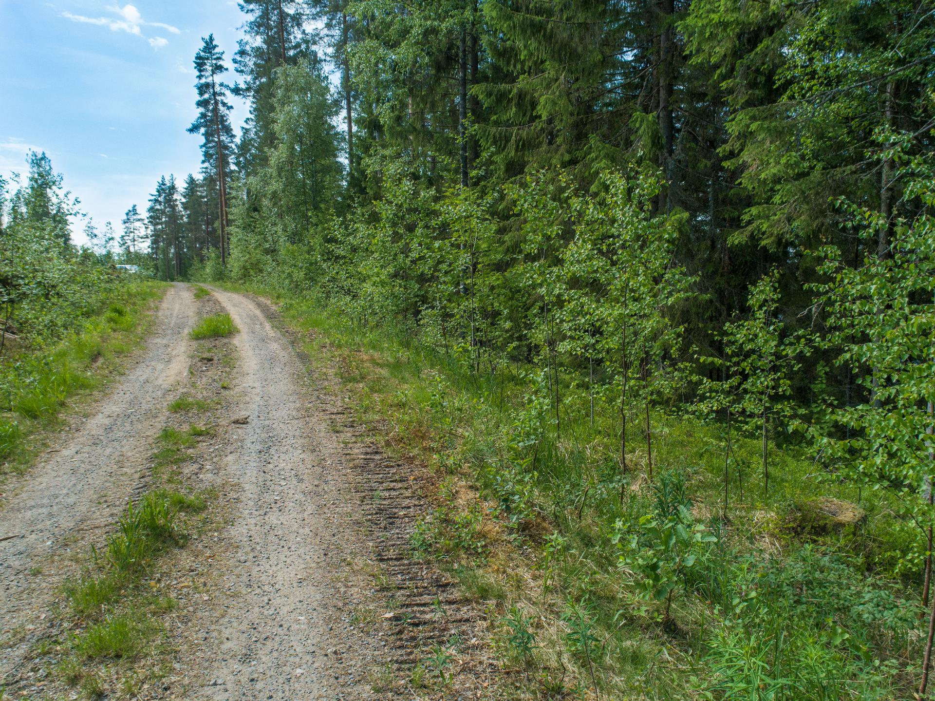 Kiminkijärvi tontti 3, Suovanlahti, Viitasaari