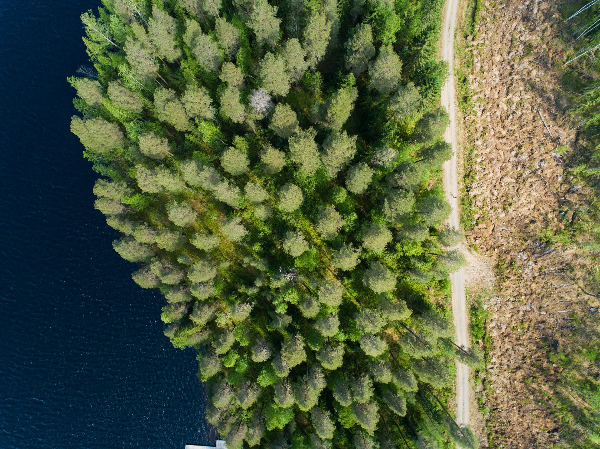 Kiminkijärvi tontti 3, Suovanlahti, Viitasaari