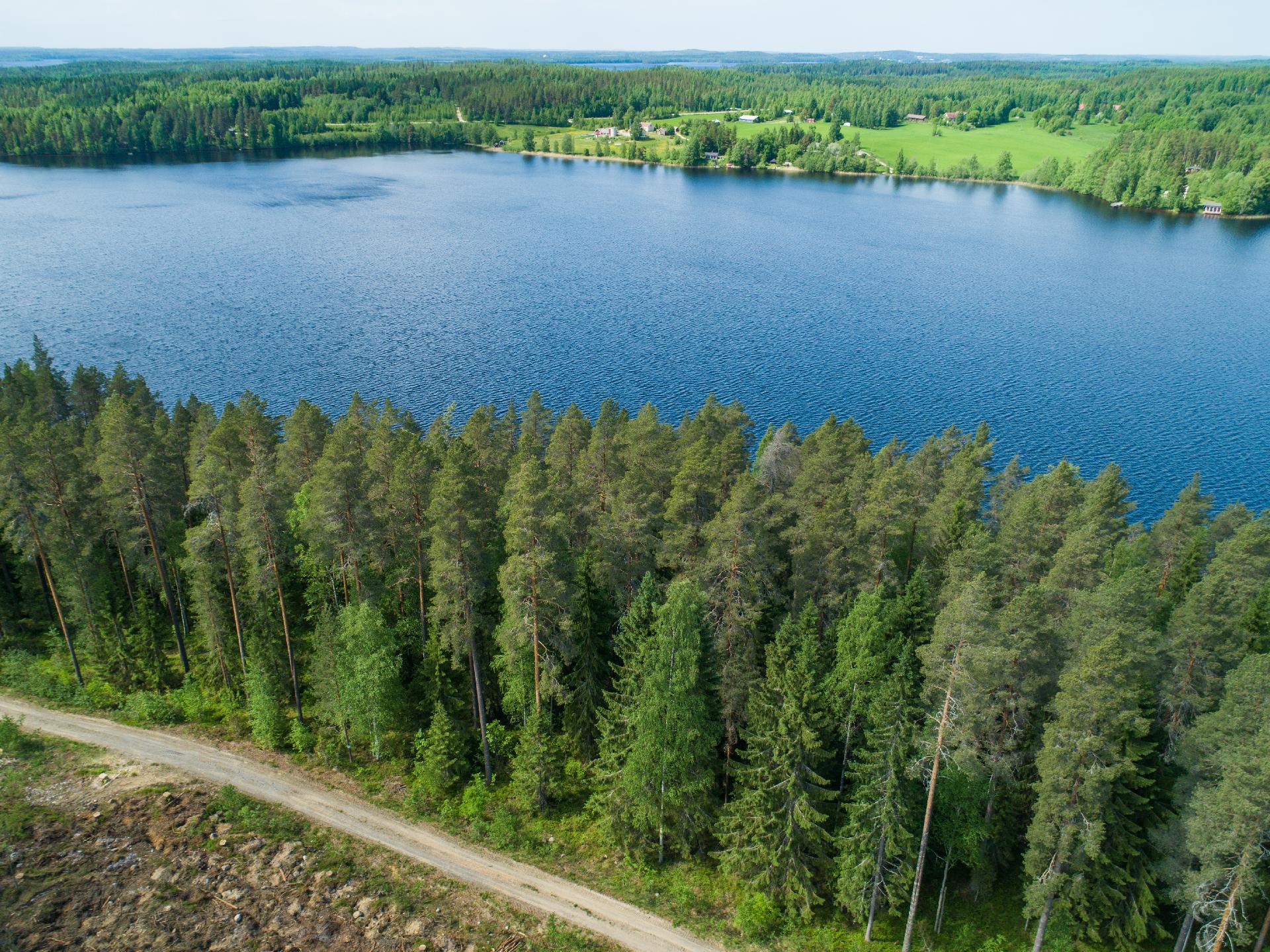 Kiminkijärvi tontti 3, Suovanlahti, Viitasaari