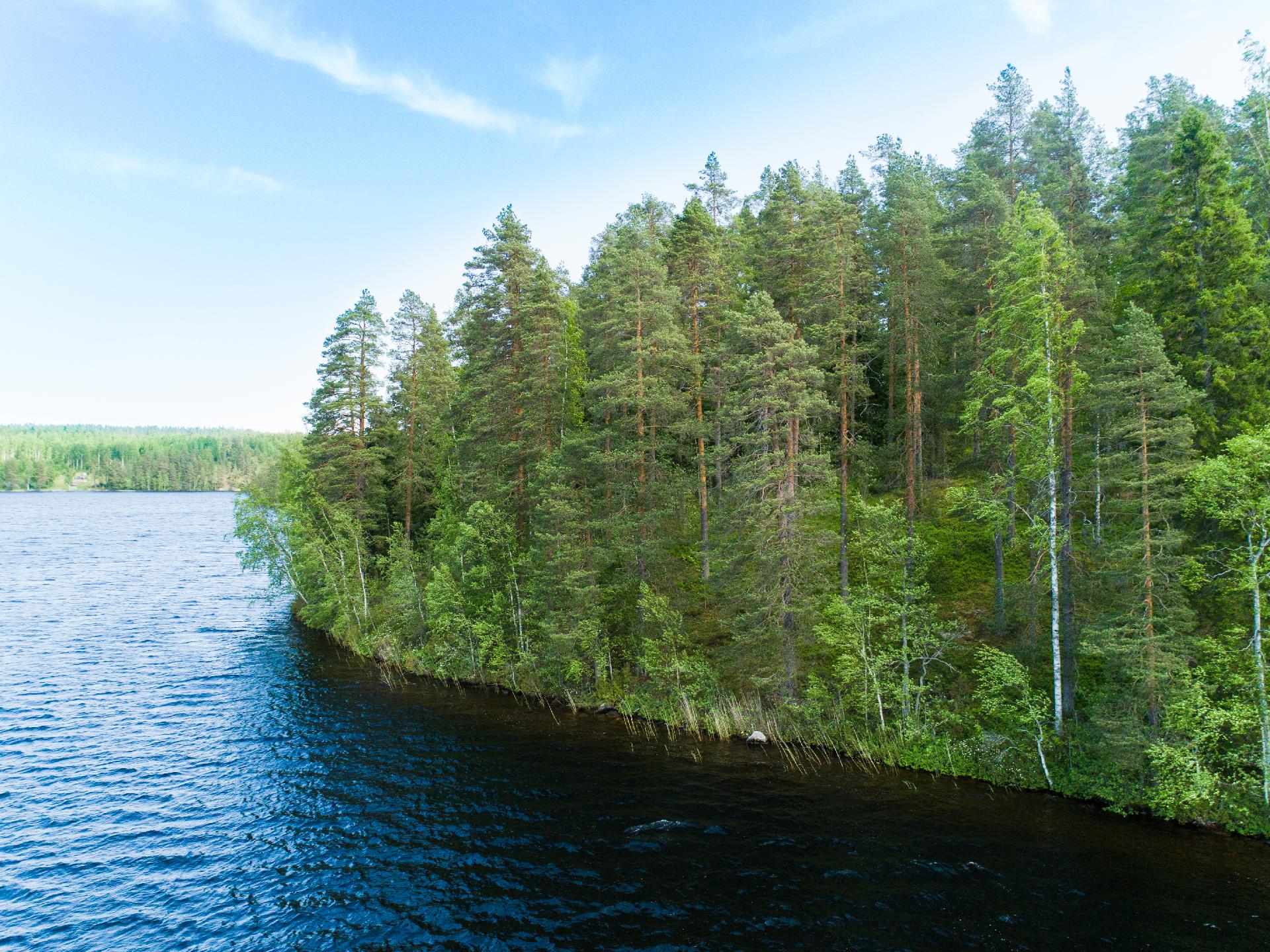 Kiminkijärvi tontti 3, Suovanlahti, Viitasaari