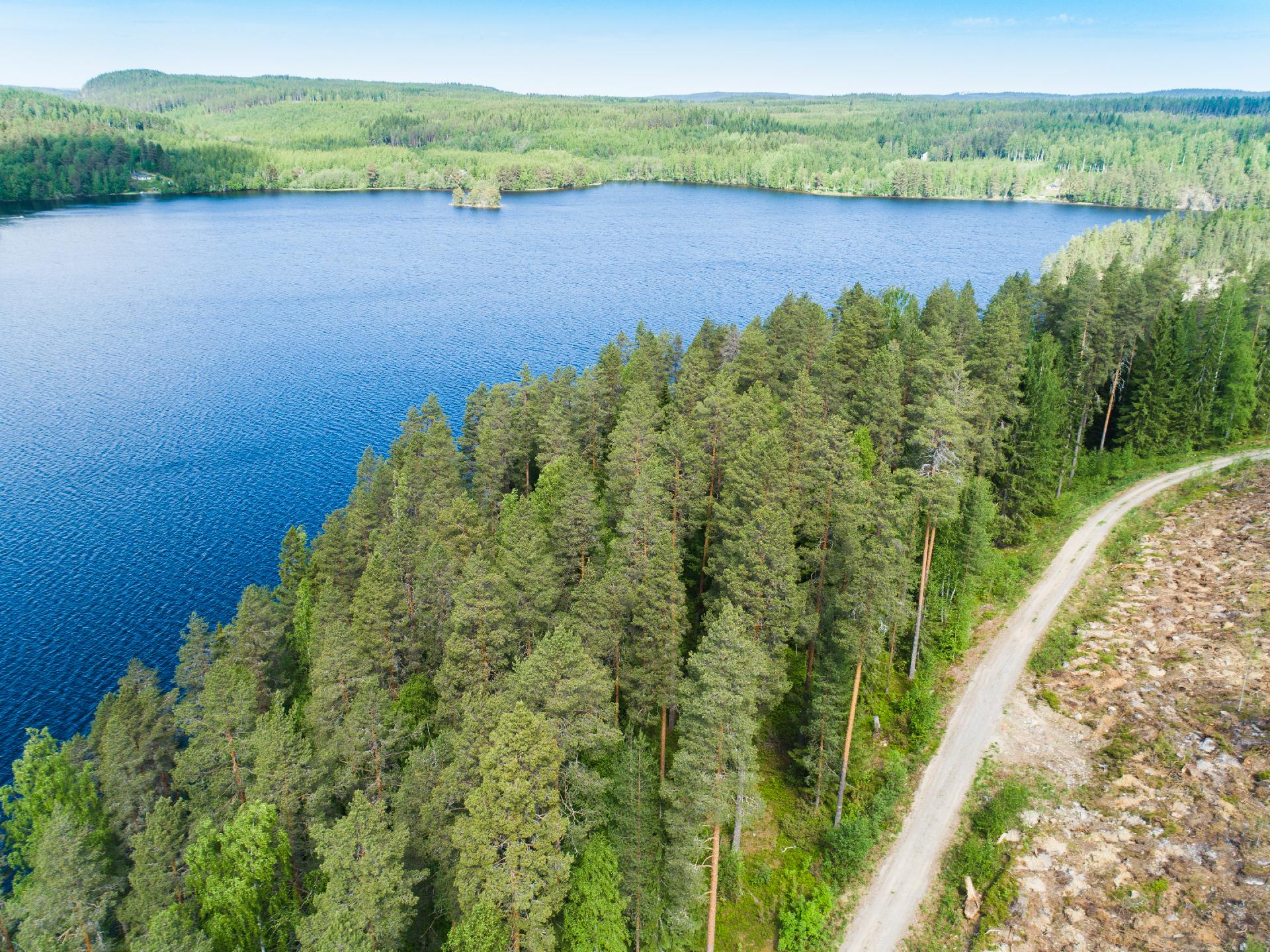 Kiminkijärvi tontti 3, Suovanlahti, Viitasaari