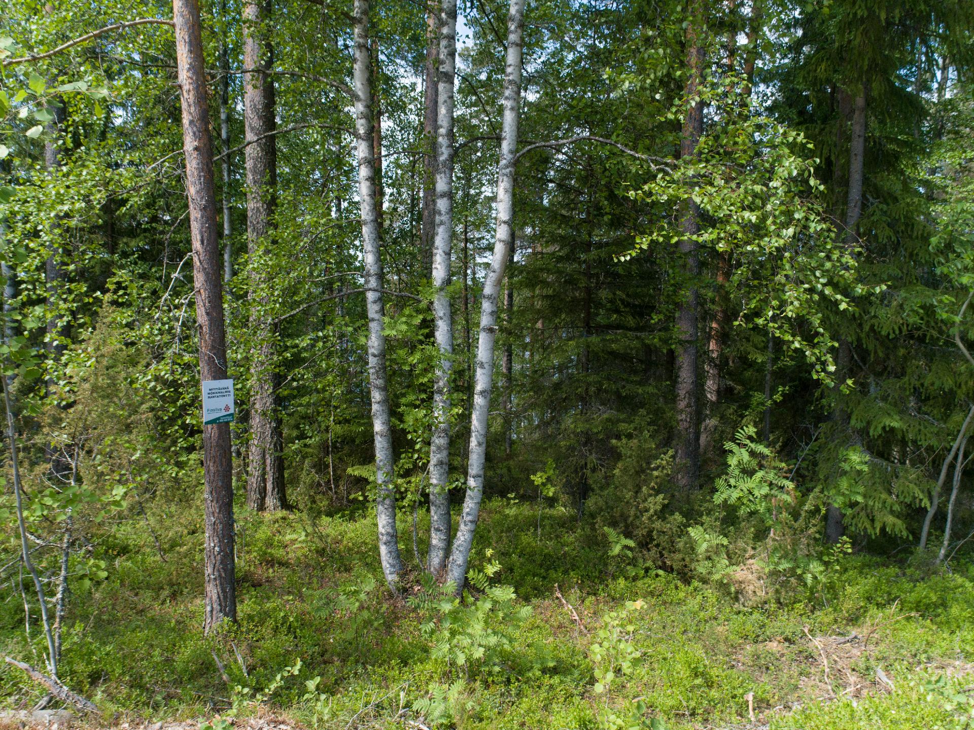 Kiminkijärvi tontti 3, Suovanlahti, Viitasaari