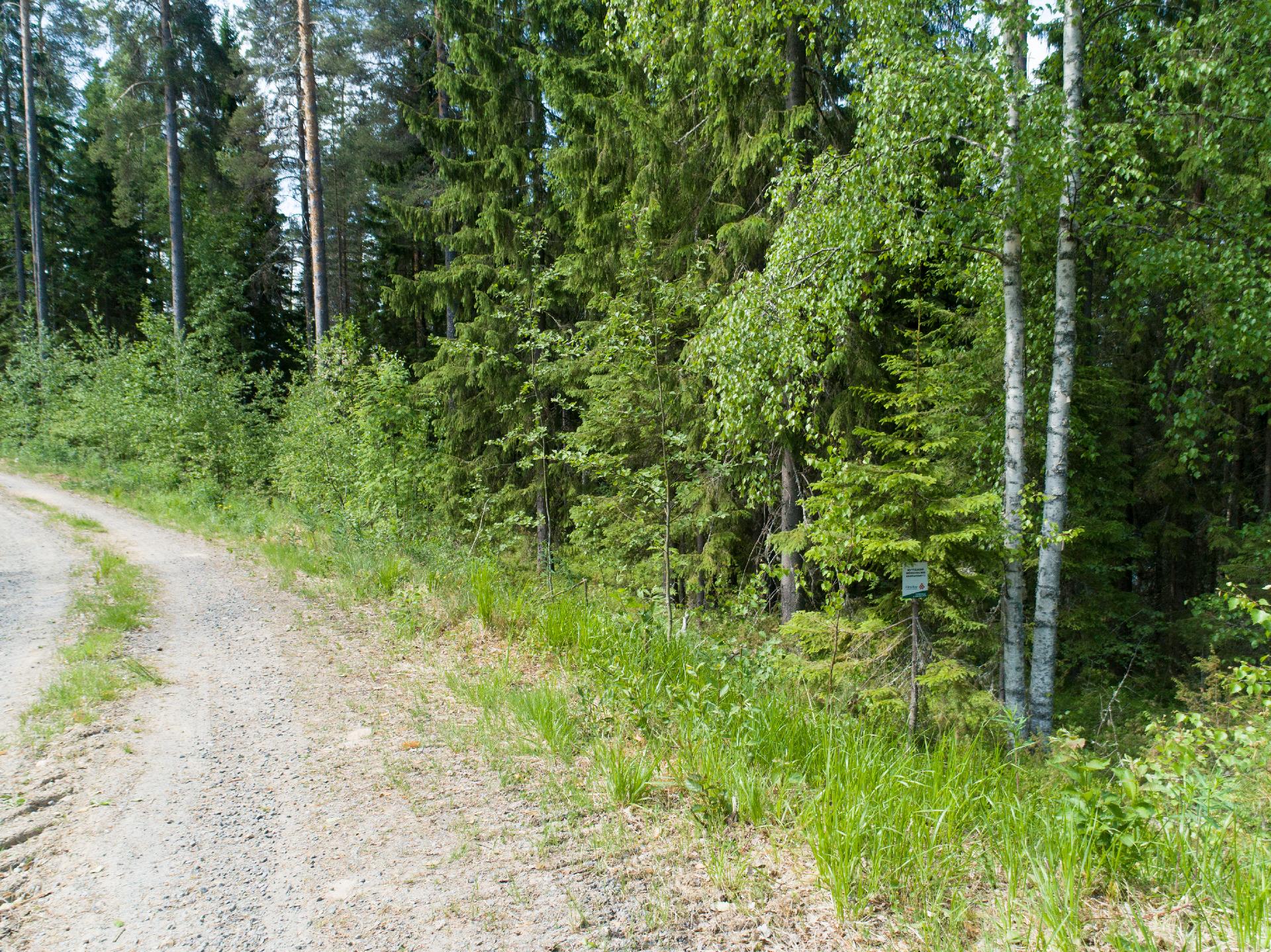 Kiminkijärvi tontti 4, Suovanlahti, Viitasaari