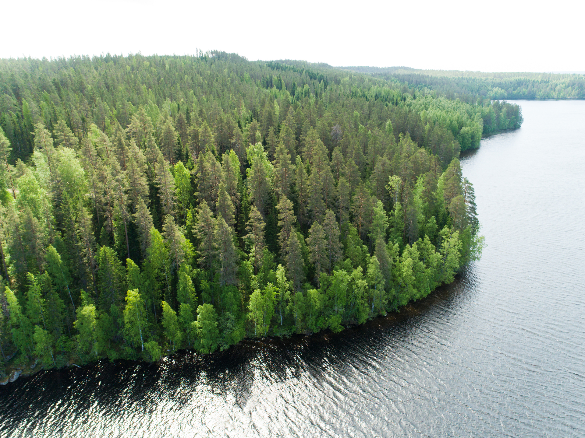 Kiminkijärvi tontti 4, Suovanlahti, Viitasaari