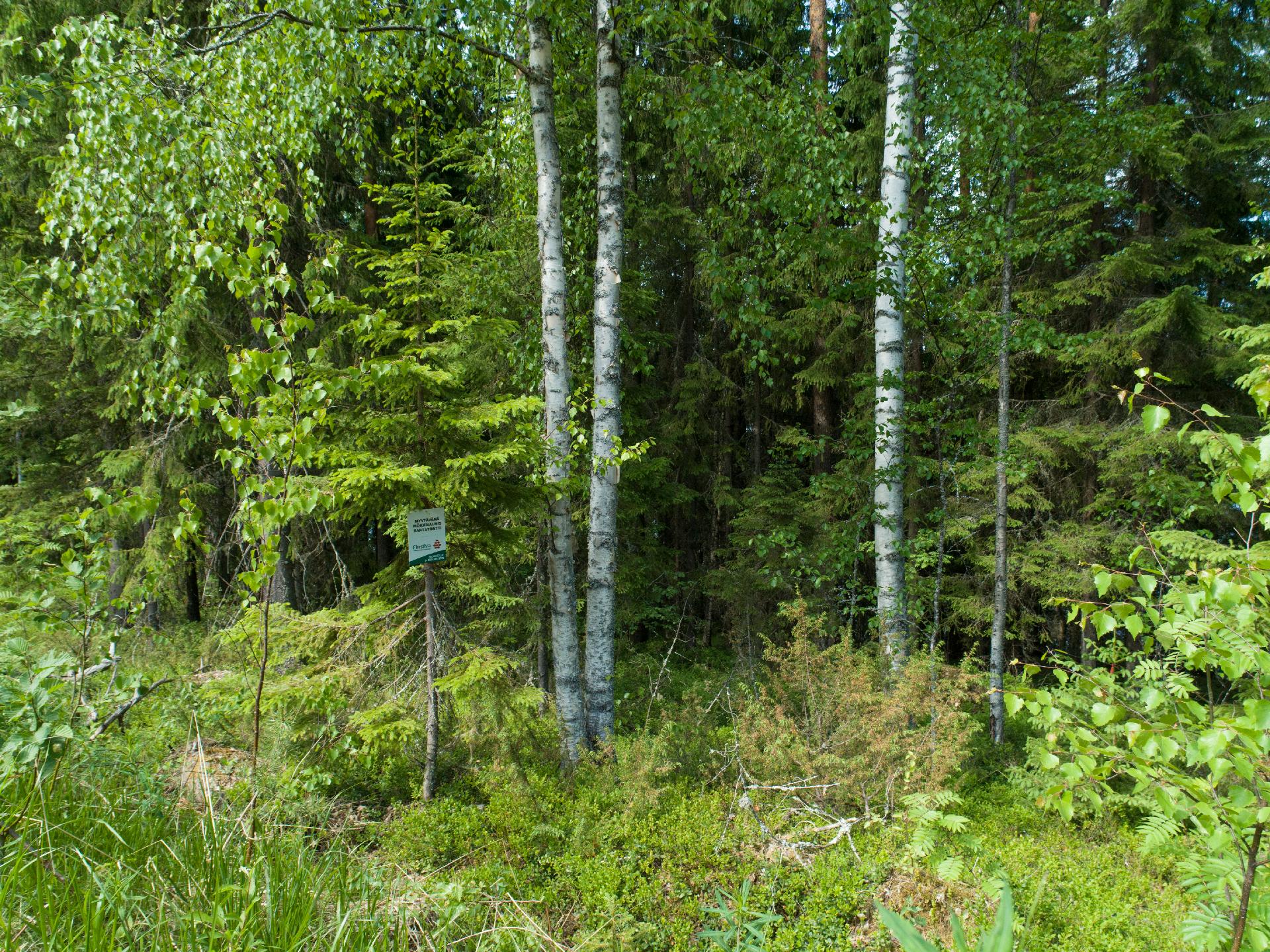 Kiminkijärvi tontti 4, Suovanlahti, Viitasaari