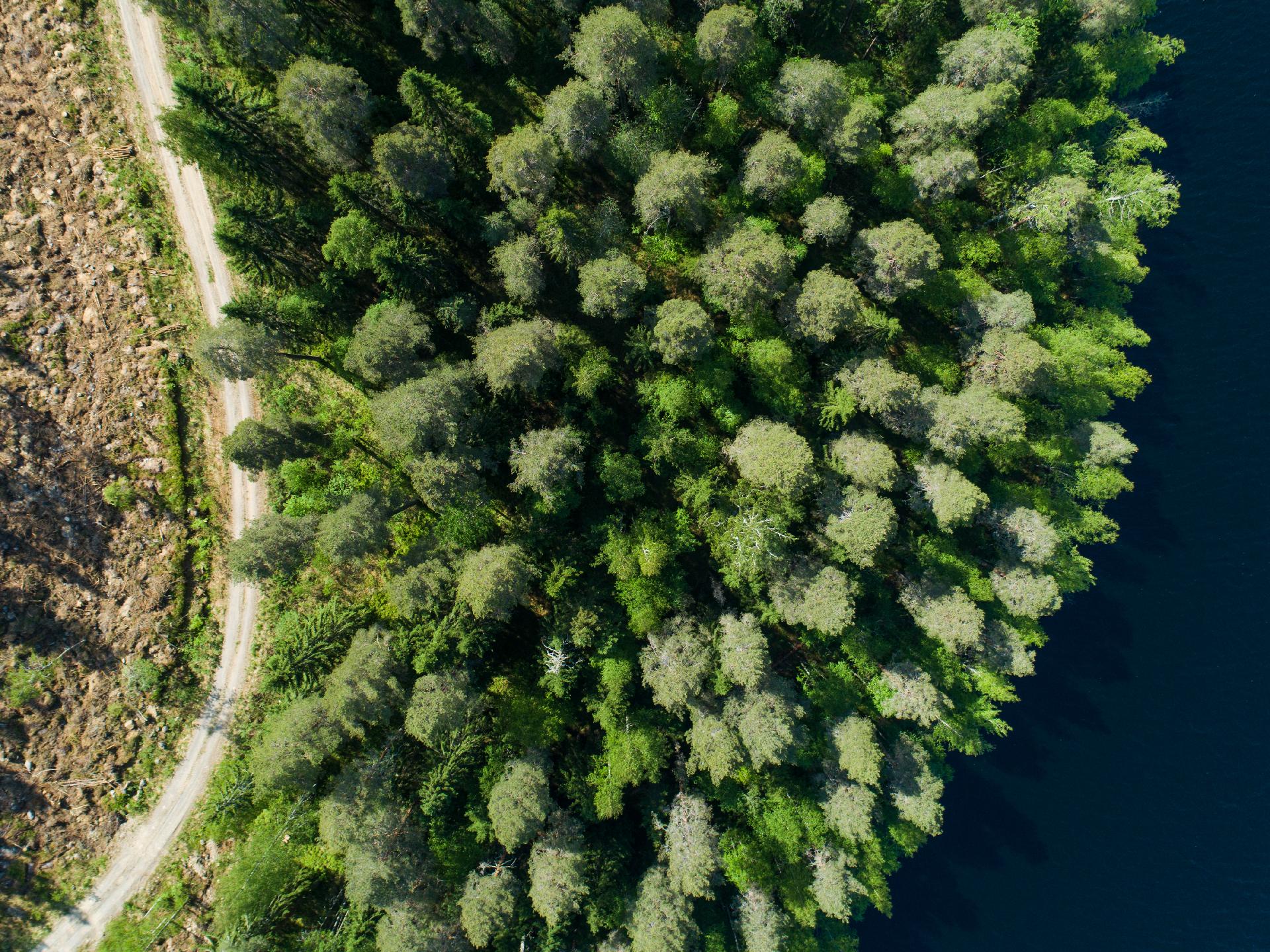 Kiminkijärvi tontti 4, Suovanlahti, Viitasaari