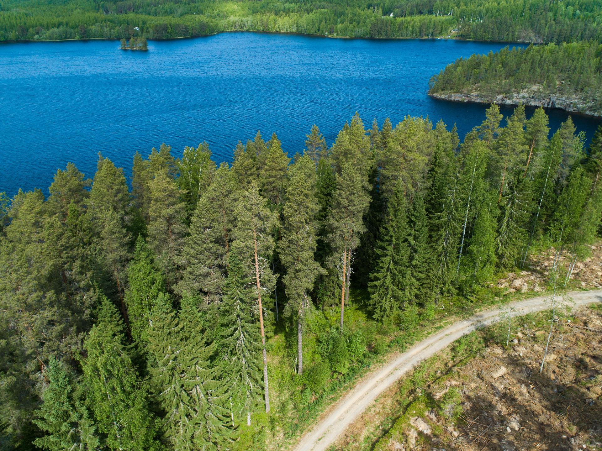 Kiminkijärvi tontti 4, Suovanlahti, Viitasaari