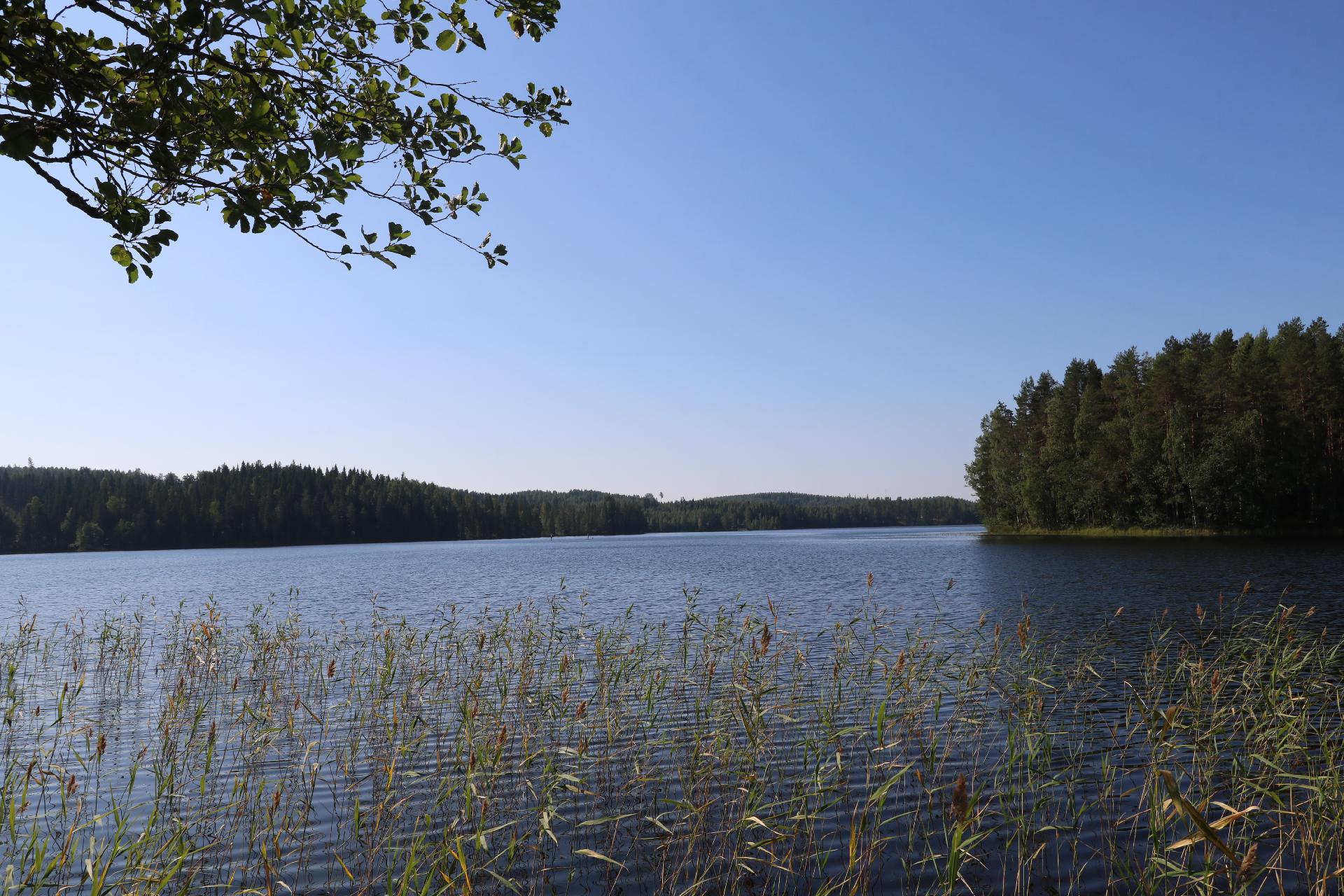 Järvinäkymä