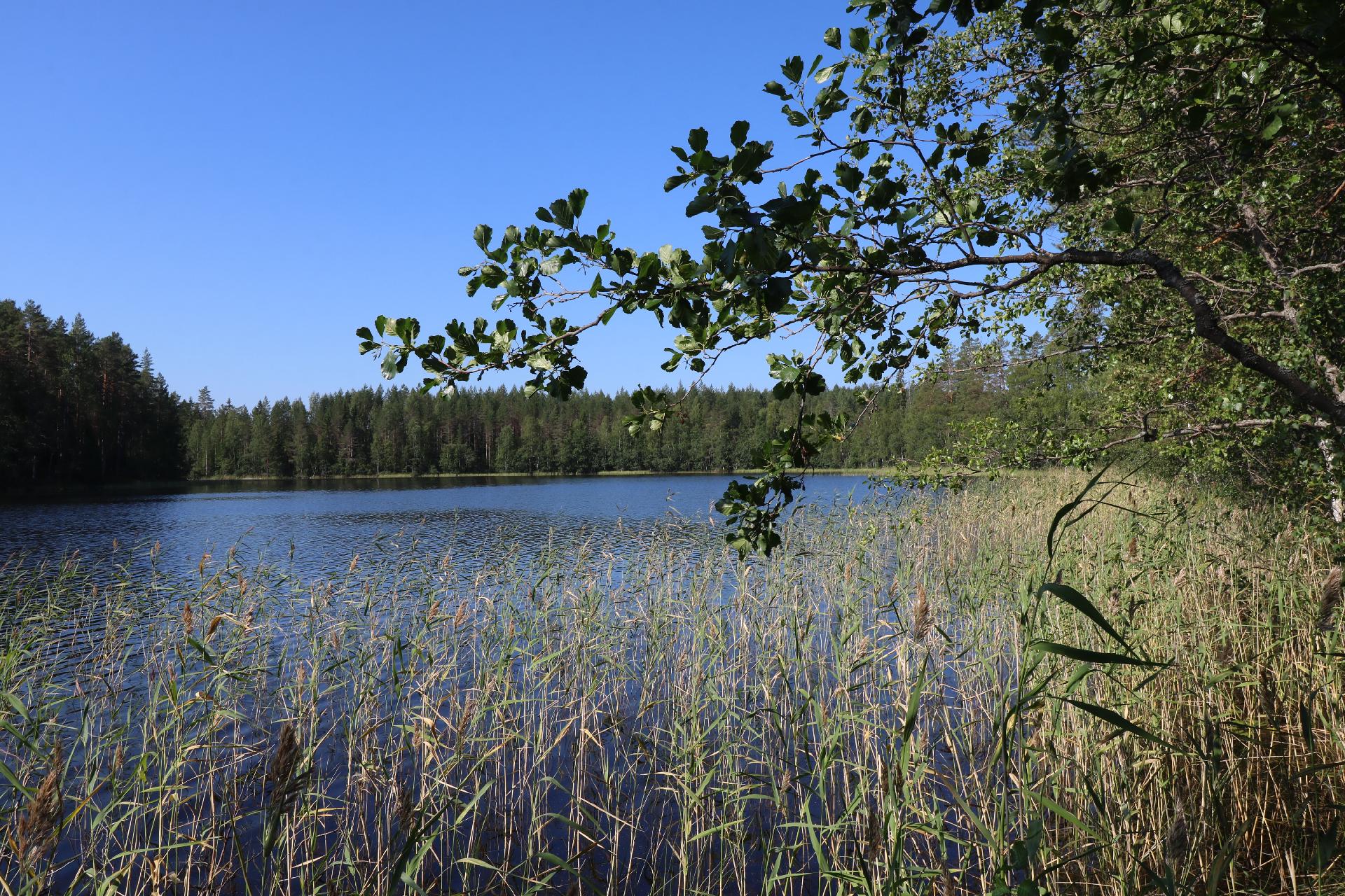 Järvinäkymä