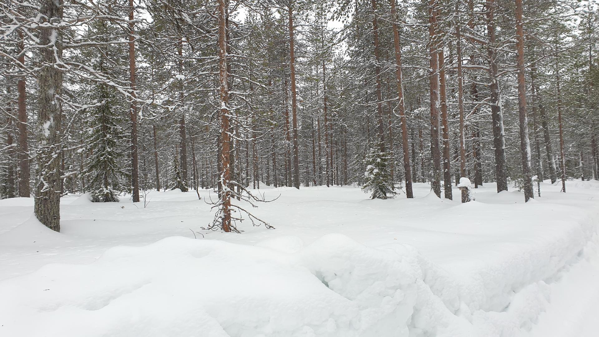 Moisasensuontie 66, Ruka, Kuusamo