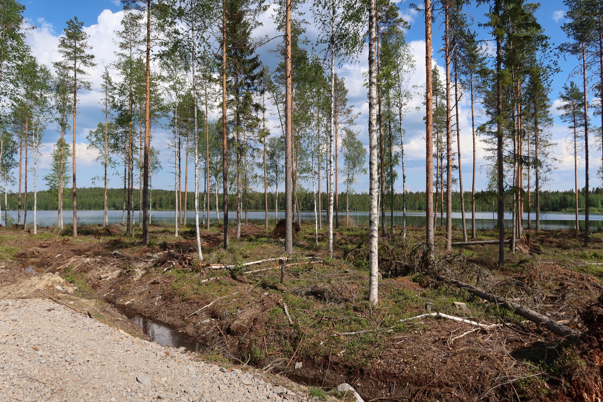 Kolunjärvi -, Lippo, Soini