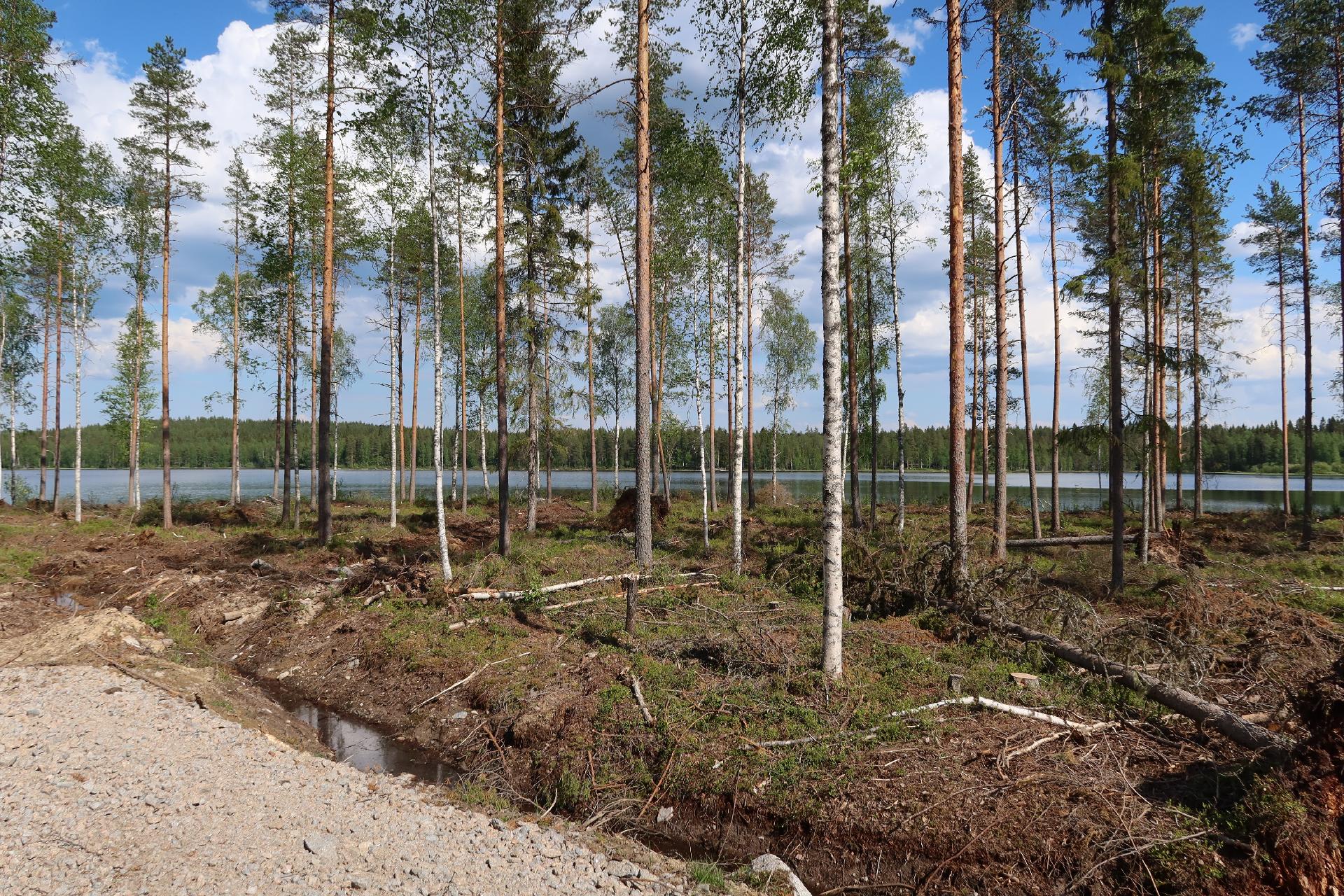 Kolunjärvi -, Lippo, Soini