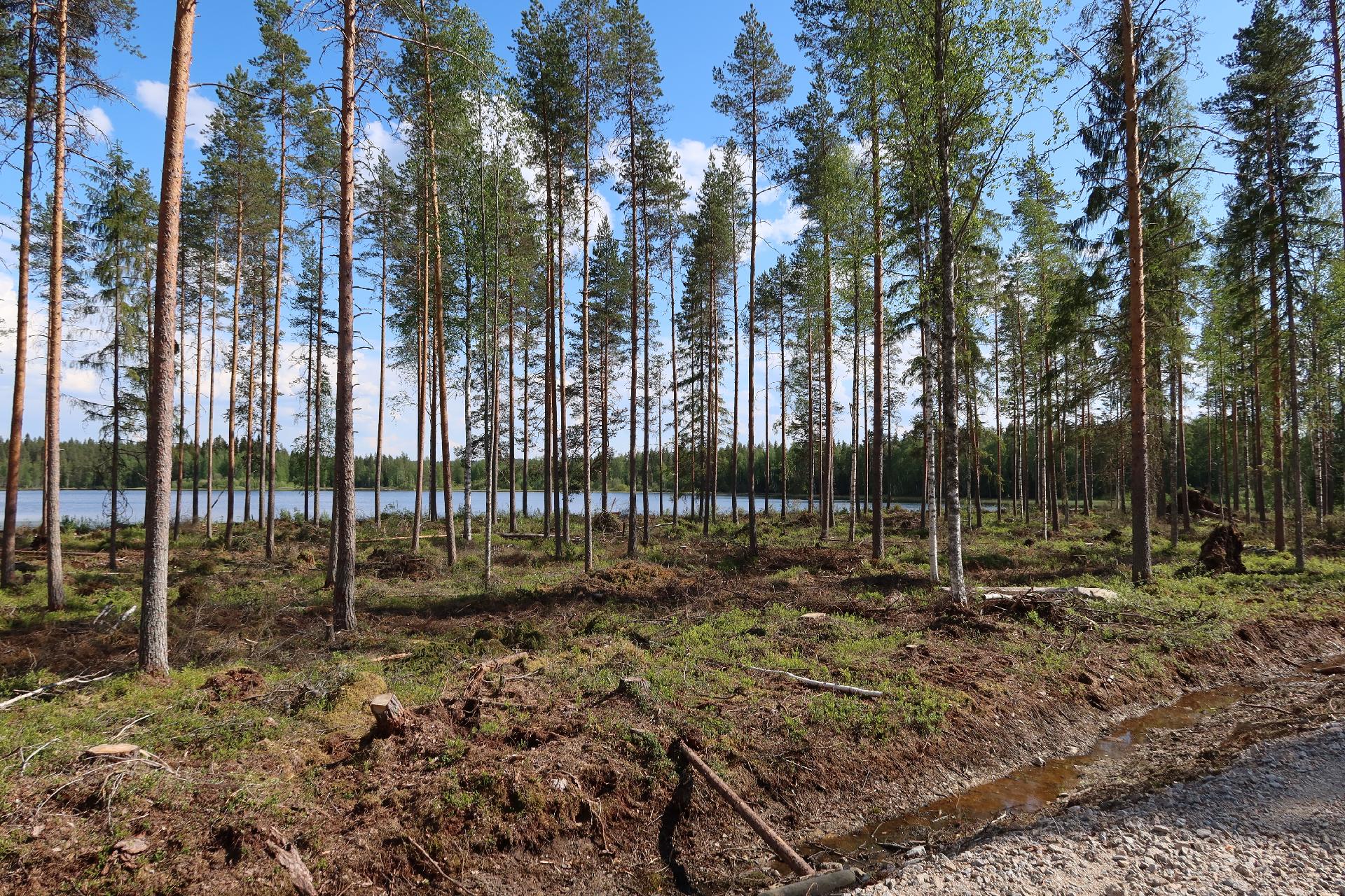 Kolunjärvi -, Lippo, Soini