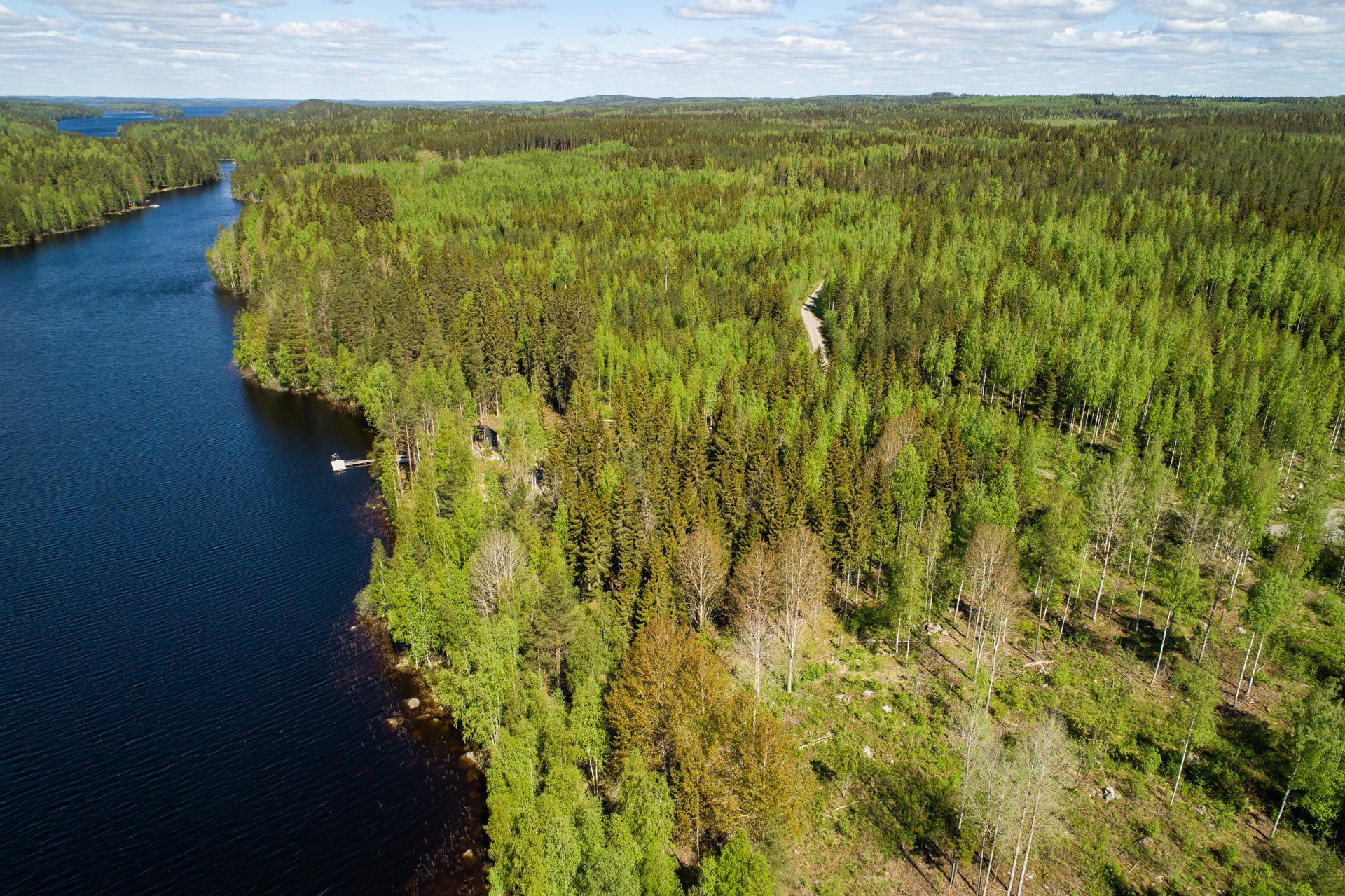 Peiponlahti tontti, Sumiainen, Äänekoski