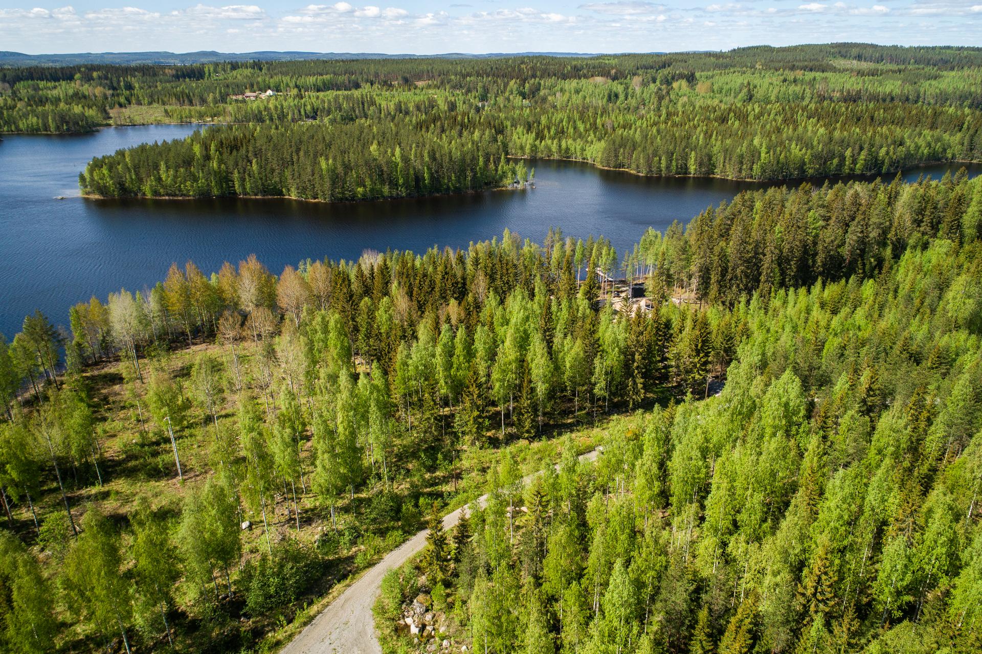 Peiponlahti tontti, Sumiainen, Äänekoski