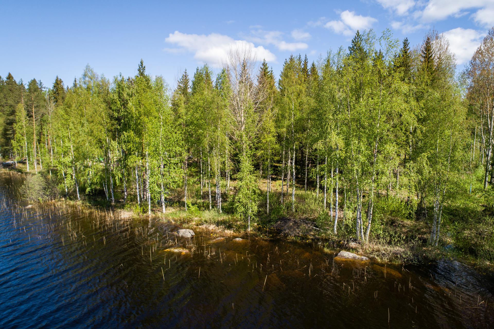 Peiponlahti tontti, Sumiainen, Äänekoski