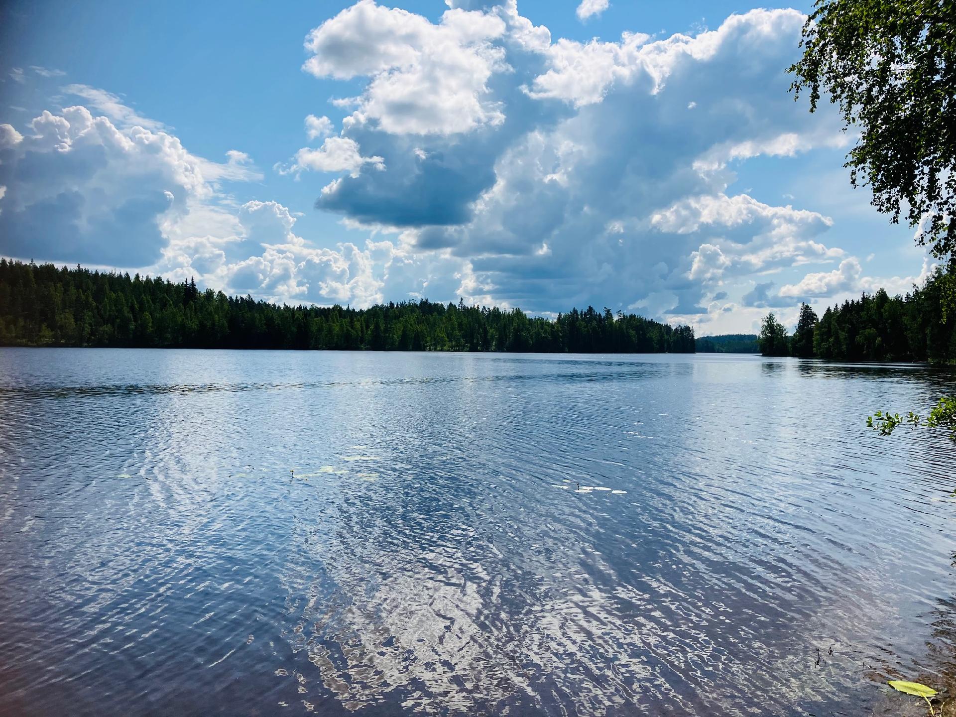 Kalmasaarentie 243, Pohjalankila, Ruokolahti