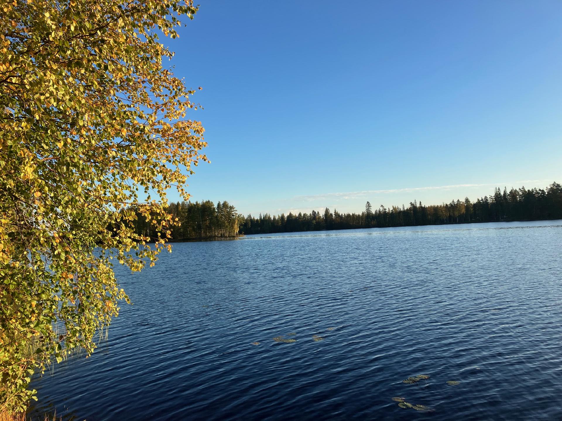 Kalmasaarentie 243, Pohjalankila, Ruokolahti