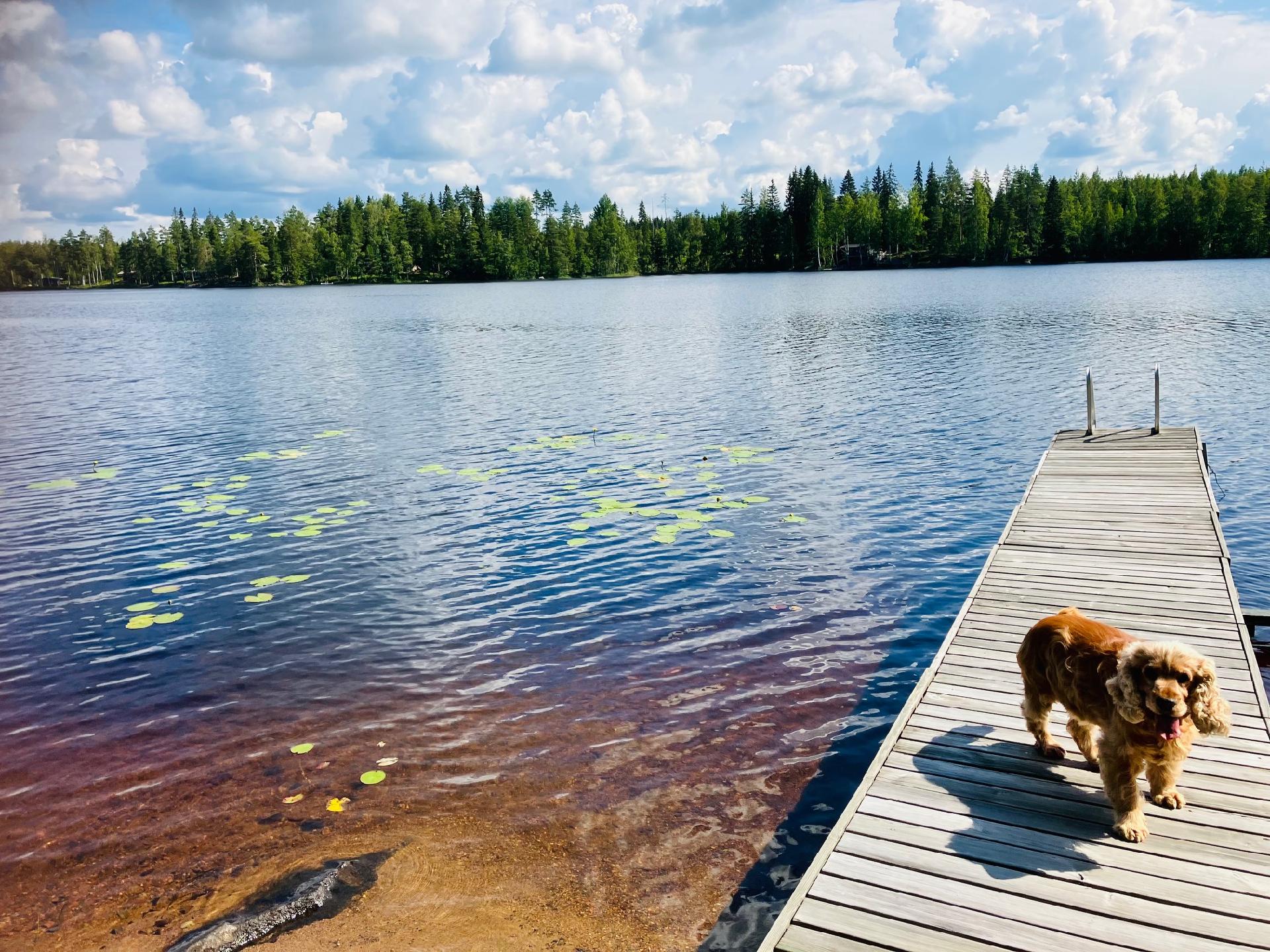 Kalmasaarentie 243, Pohjalankila, Ruokolahti