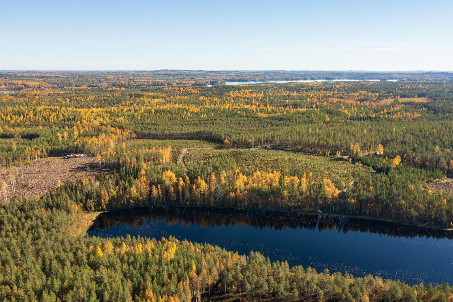 Pulkinmäentie 132, Leivonmäki, Joutsa