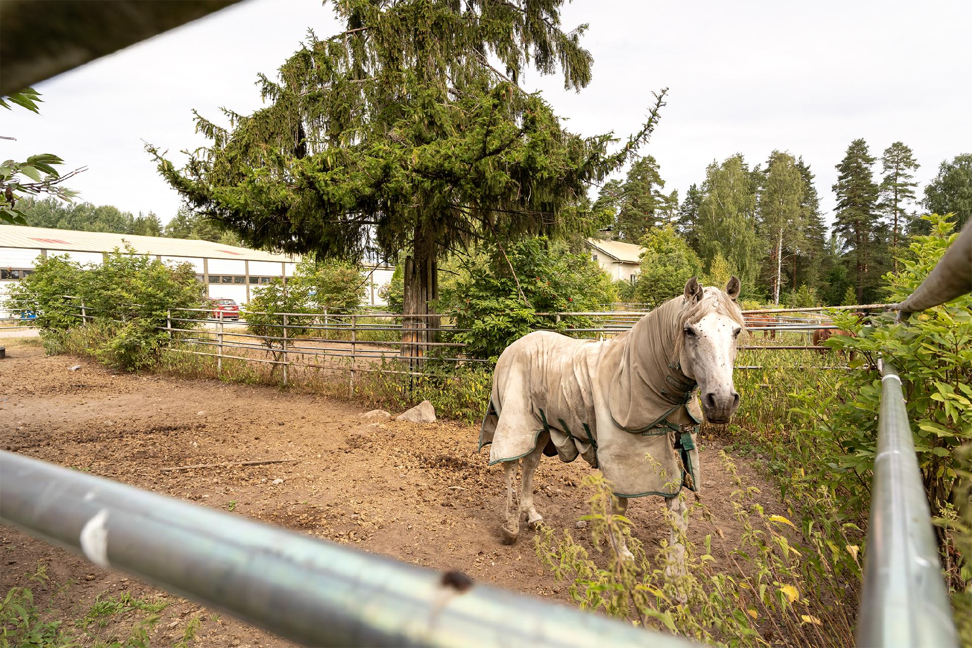 Vanha Kormuntie 12, Herajoki, Riihimäki